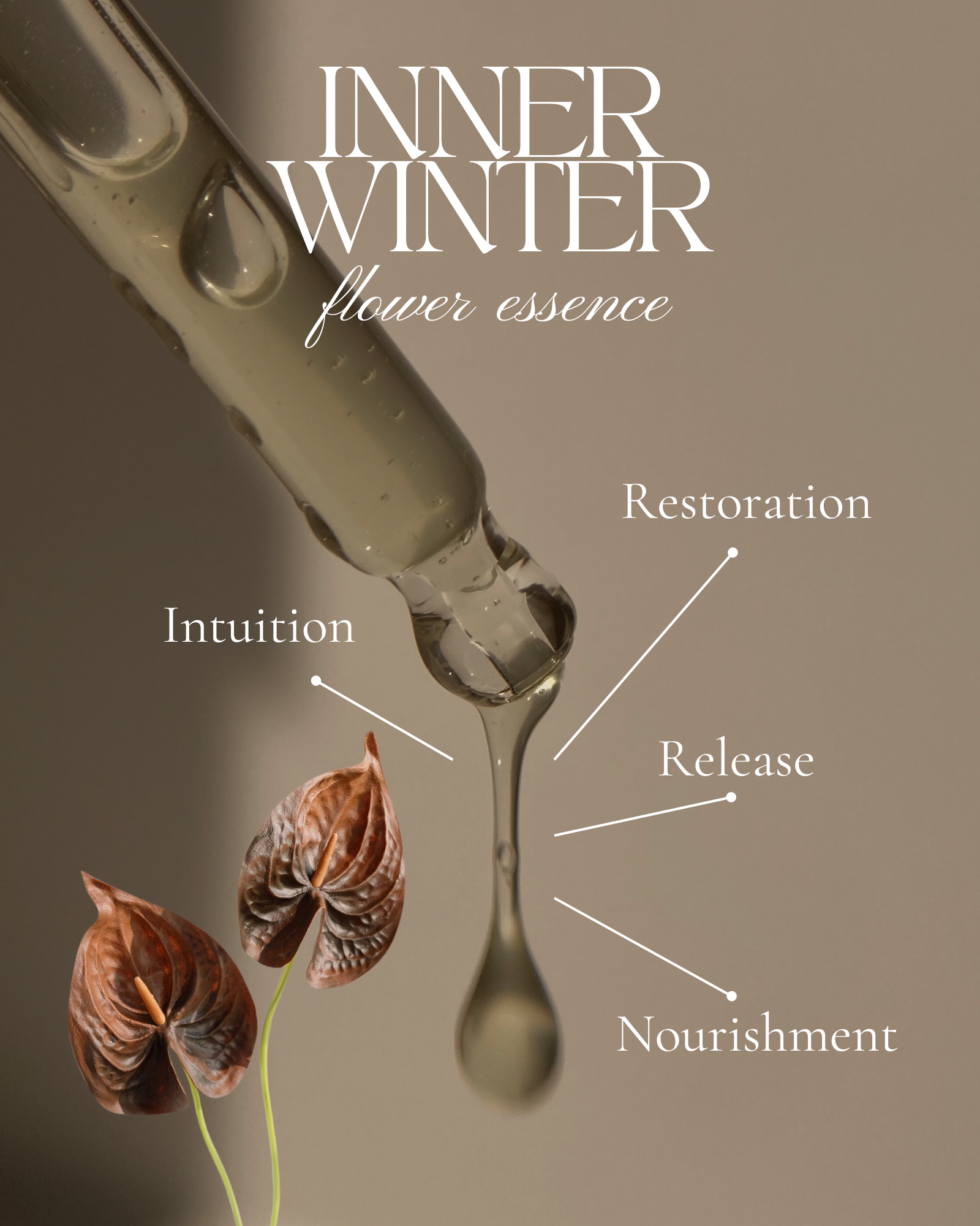 Inner Winter Description.png