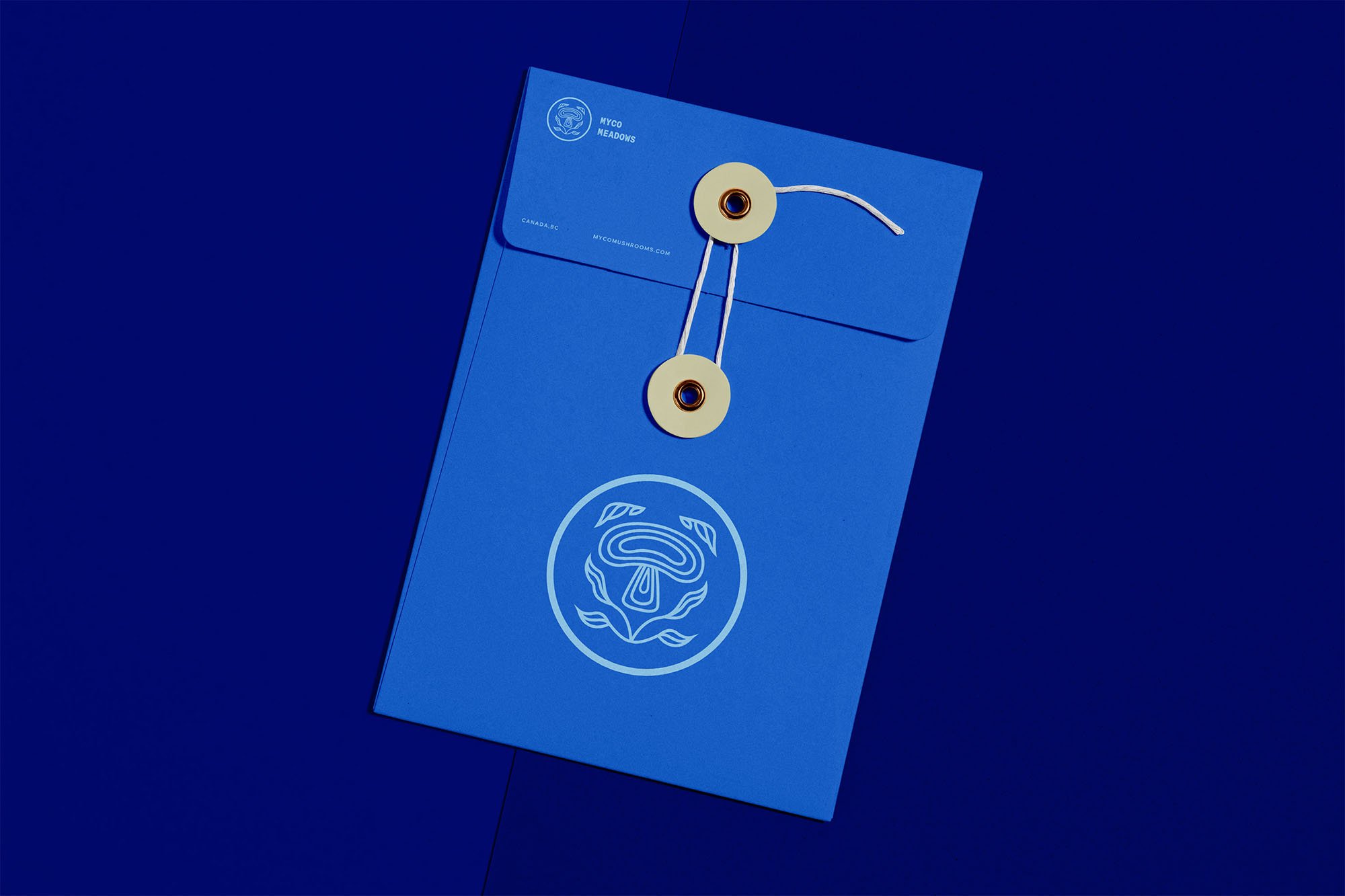 Logo design for mushrooms supplement on envelope mockup