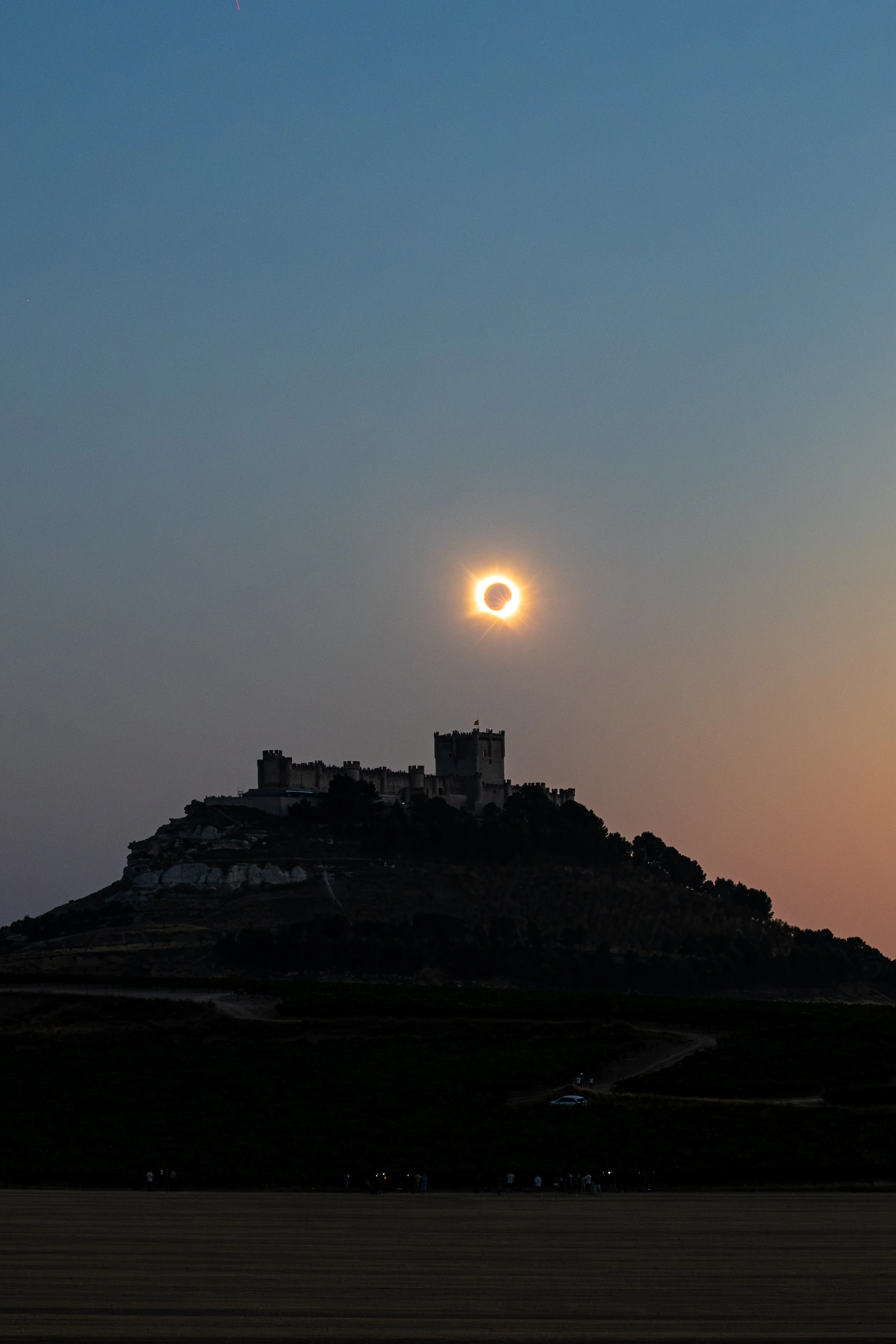 2026 Diamond Ring Vertical