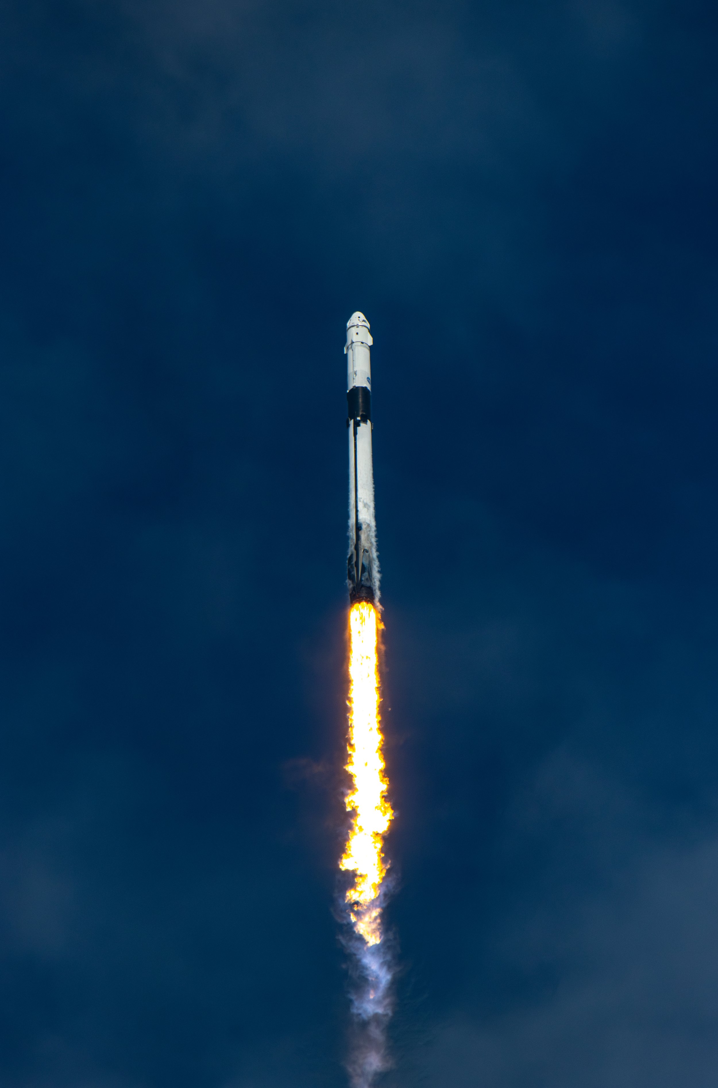 Crew-9 Launching Midflight.jpg