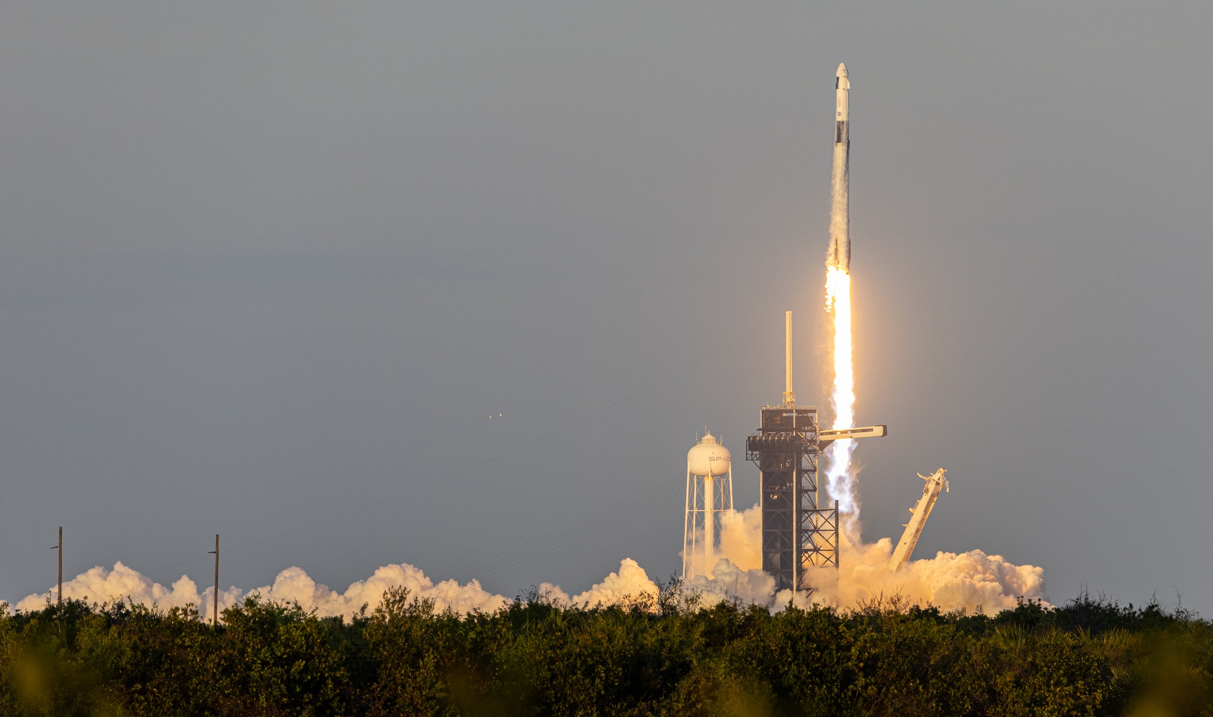 Crew-10 Launch .jpg
