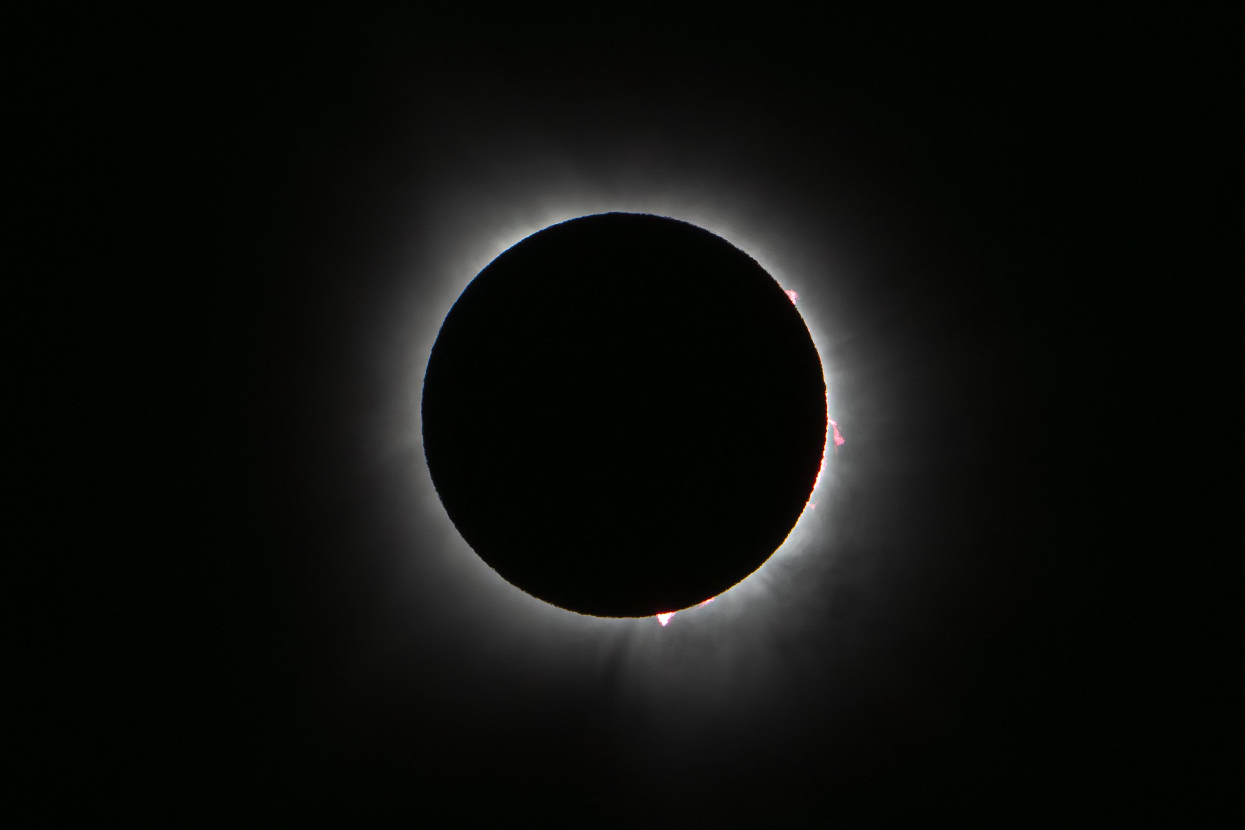 Sunfares and Corona 2025.jpg