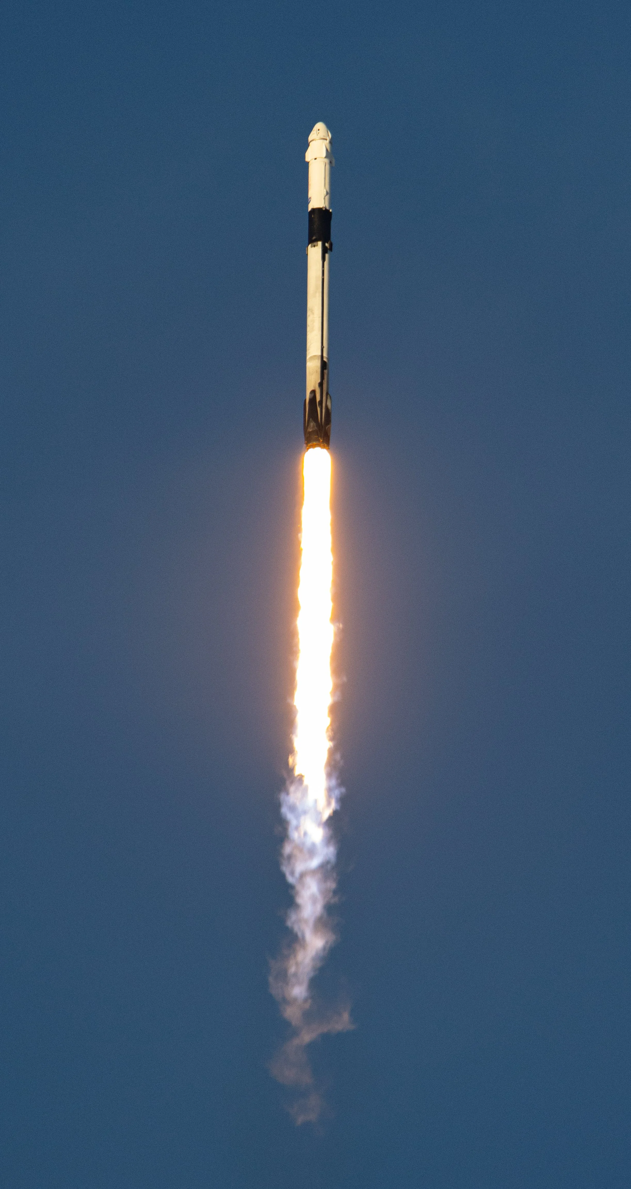 Crew-10 in Flight .jpg