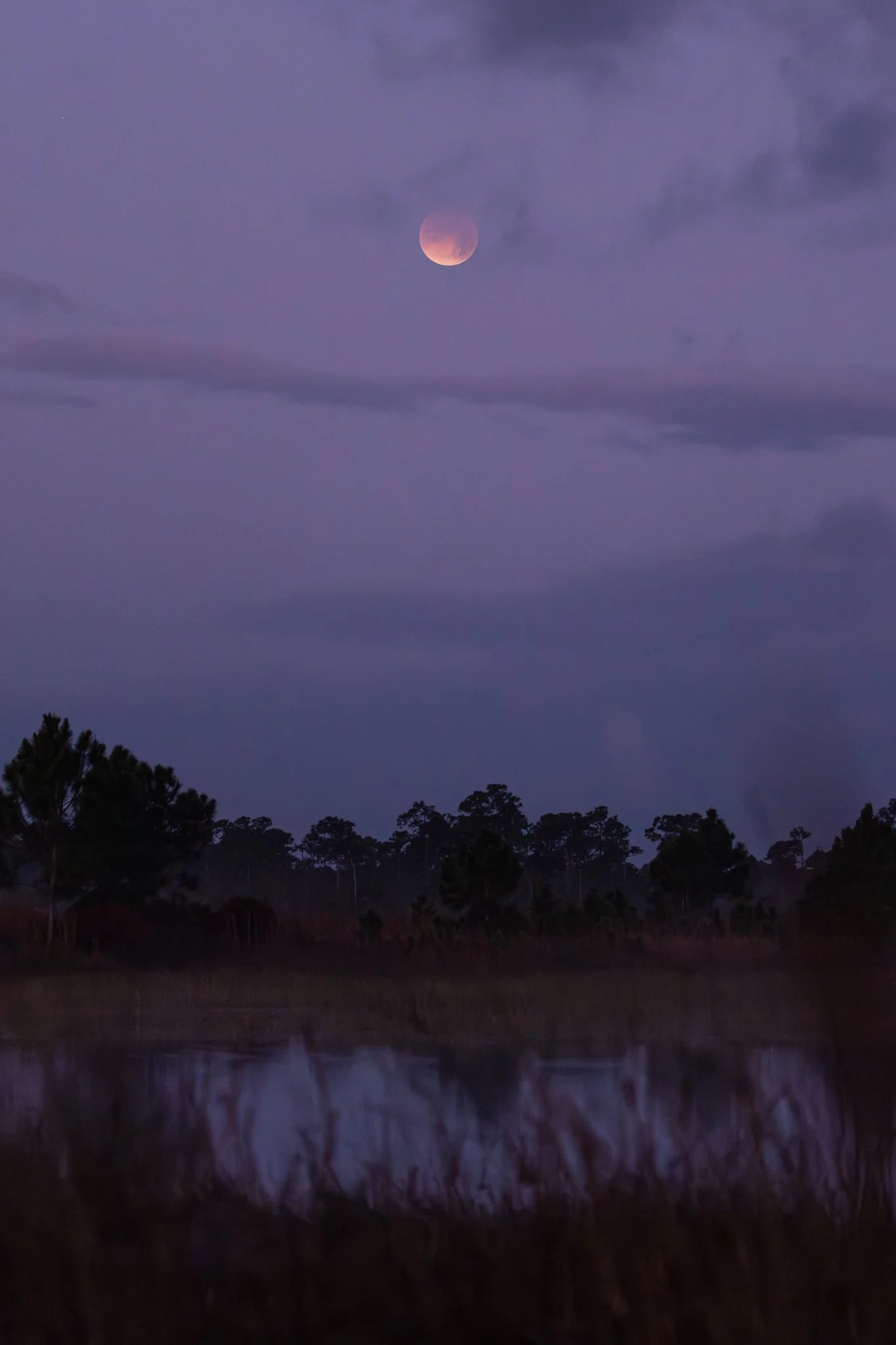 R5 Lunar Eclipse Medium.jpg