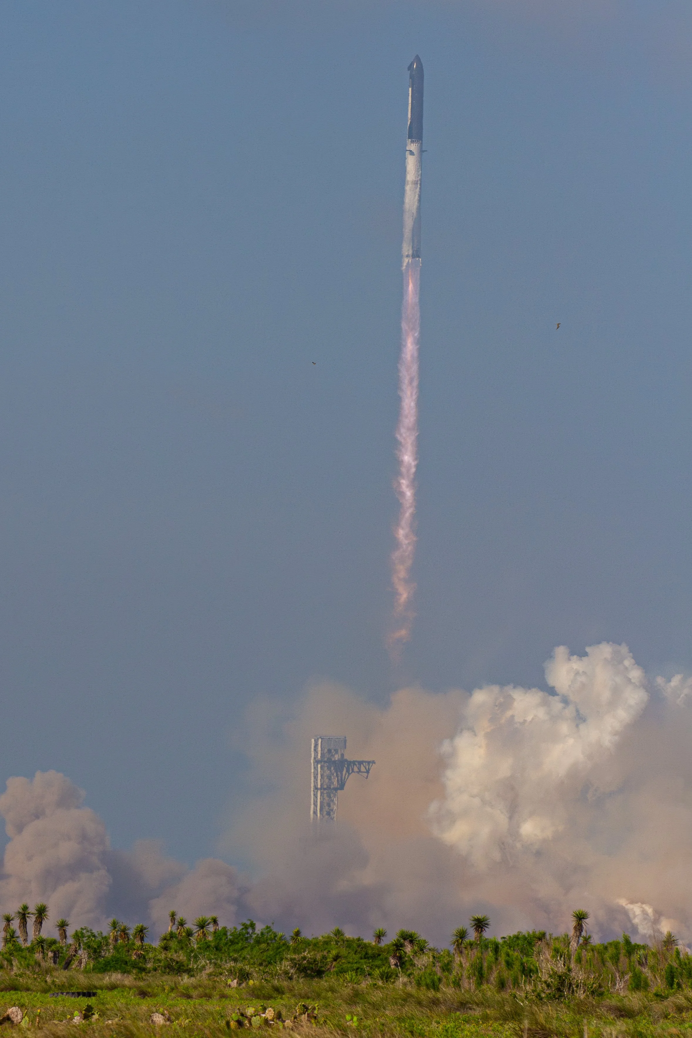 Starship Flight 12 - River Vertical