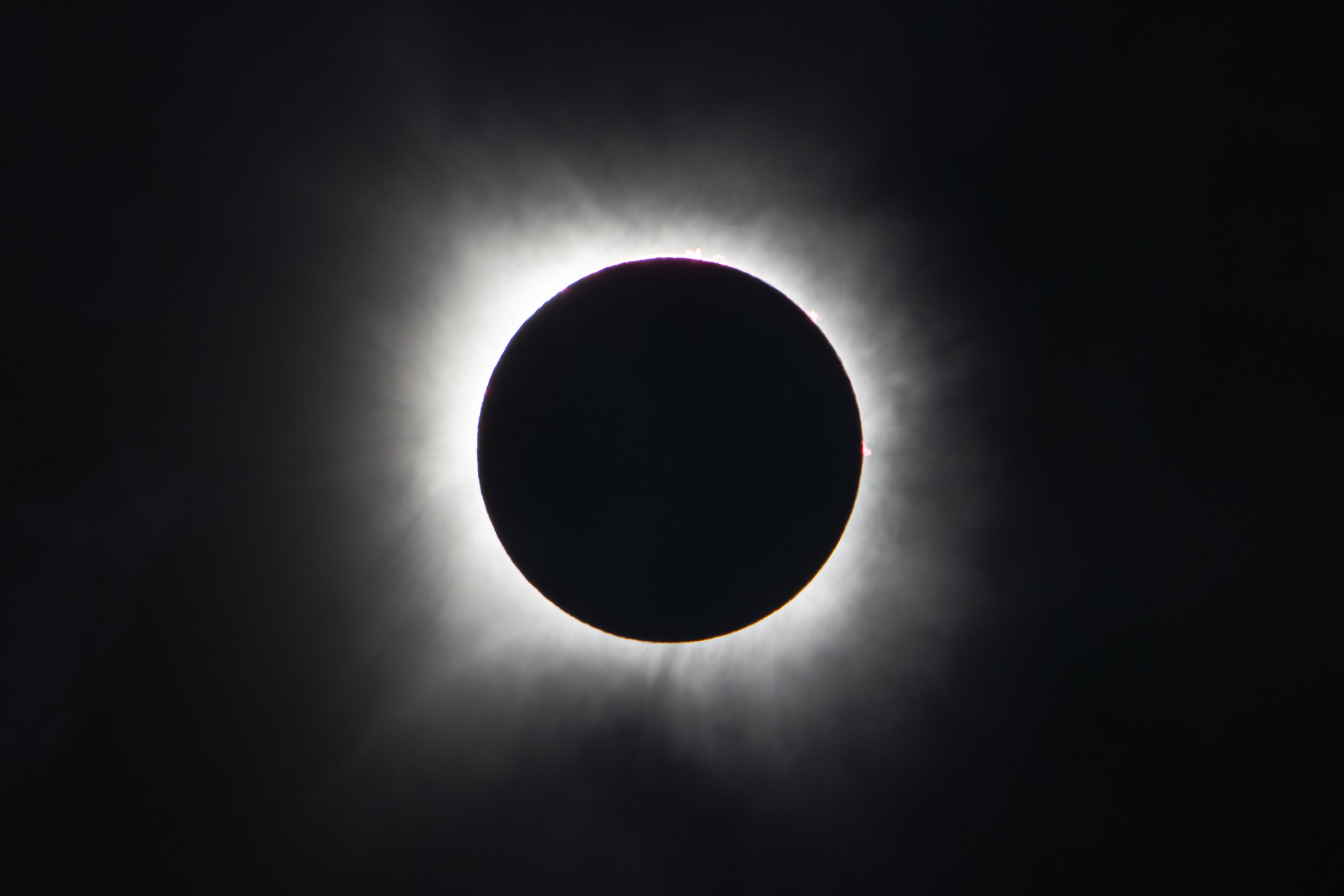 Corona Reedit 2025 FS.jpg