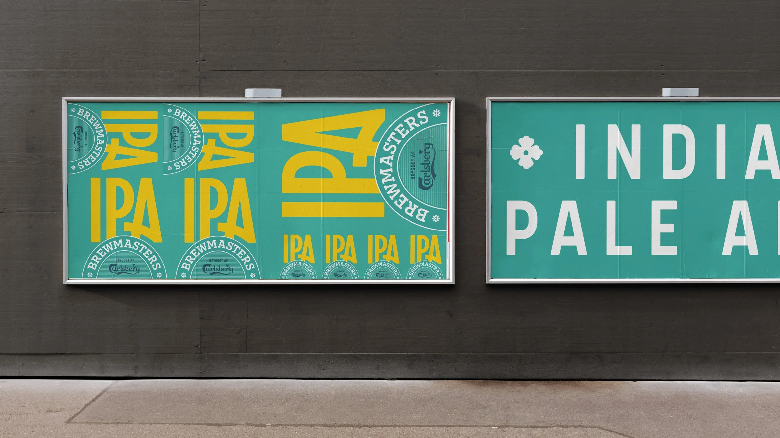 Carlsberg-Brewmaster-IPA-case-3.jpg