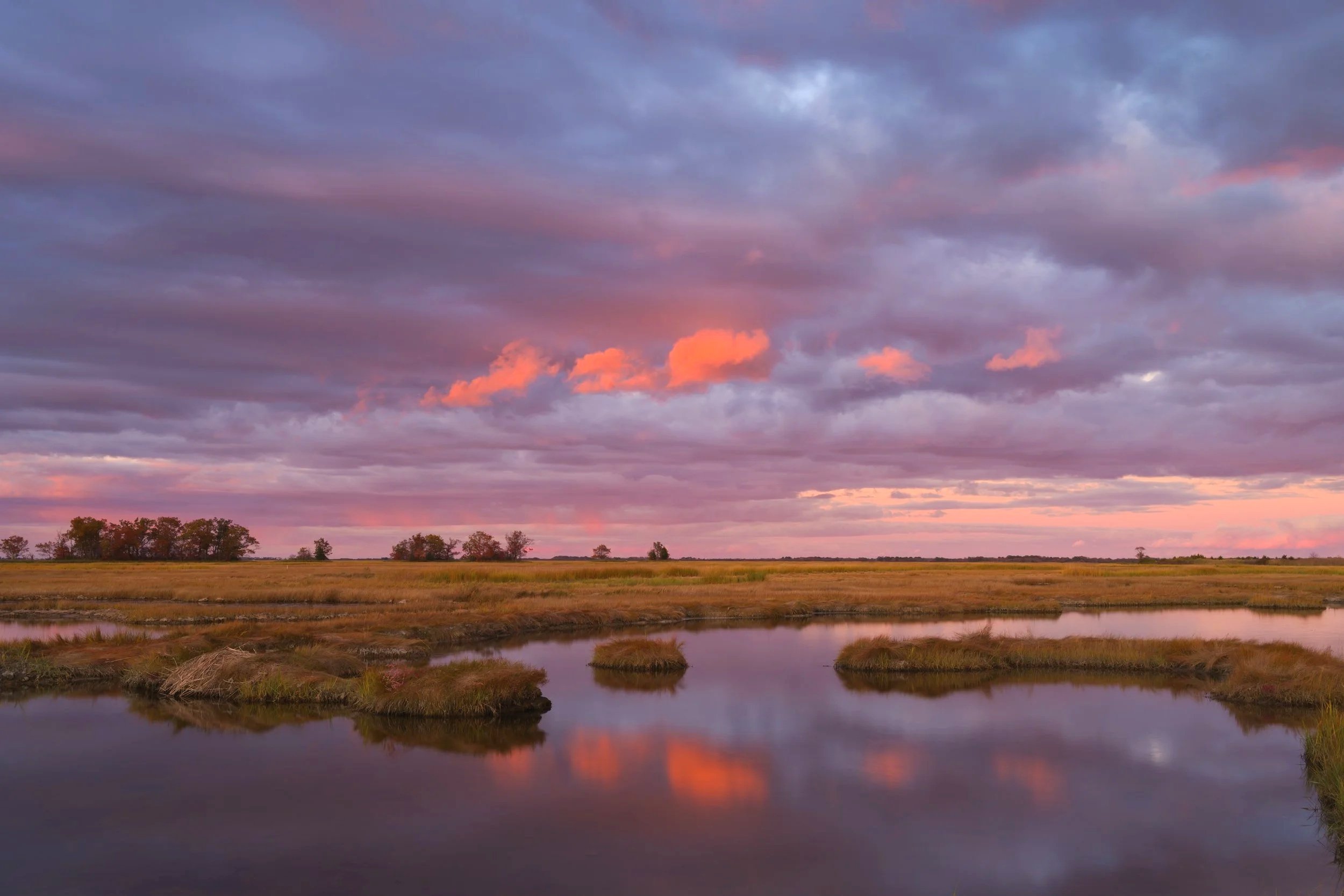 AMM_1486-alvaromarquesphotography%C2%A91.jpg