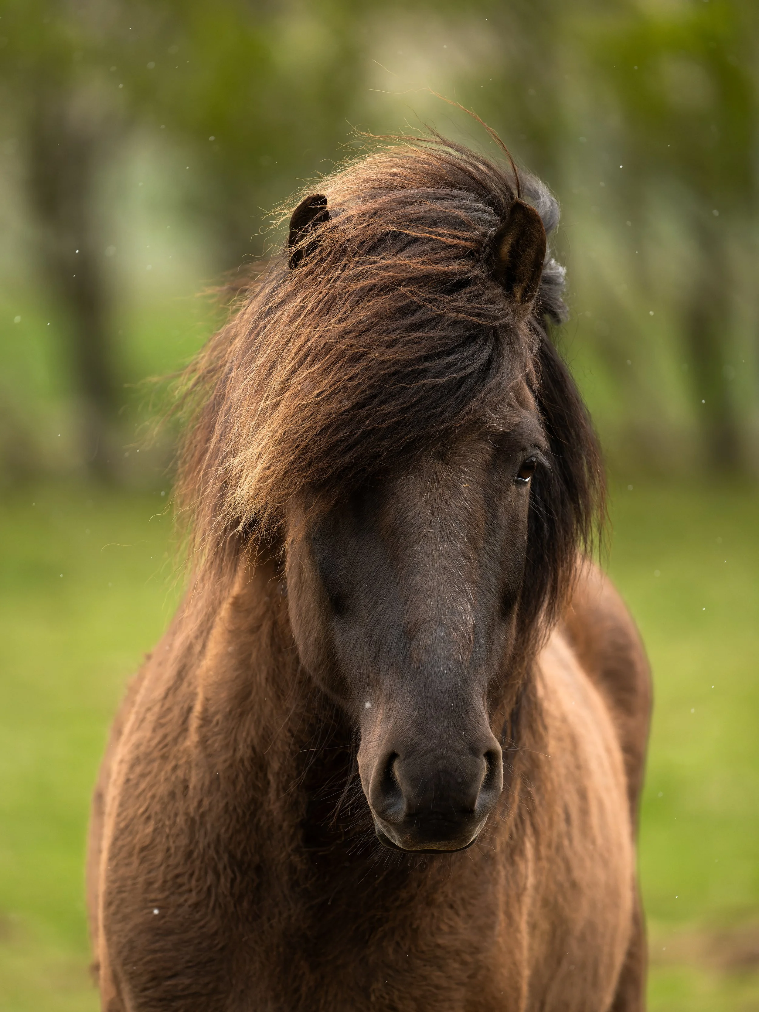 alvaromarquesphotography©_DSC5672.jpg