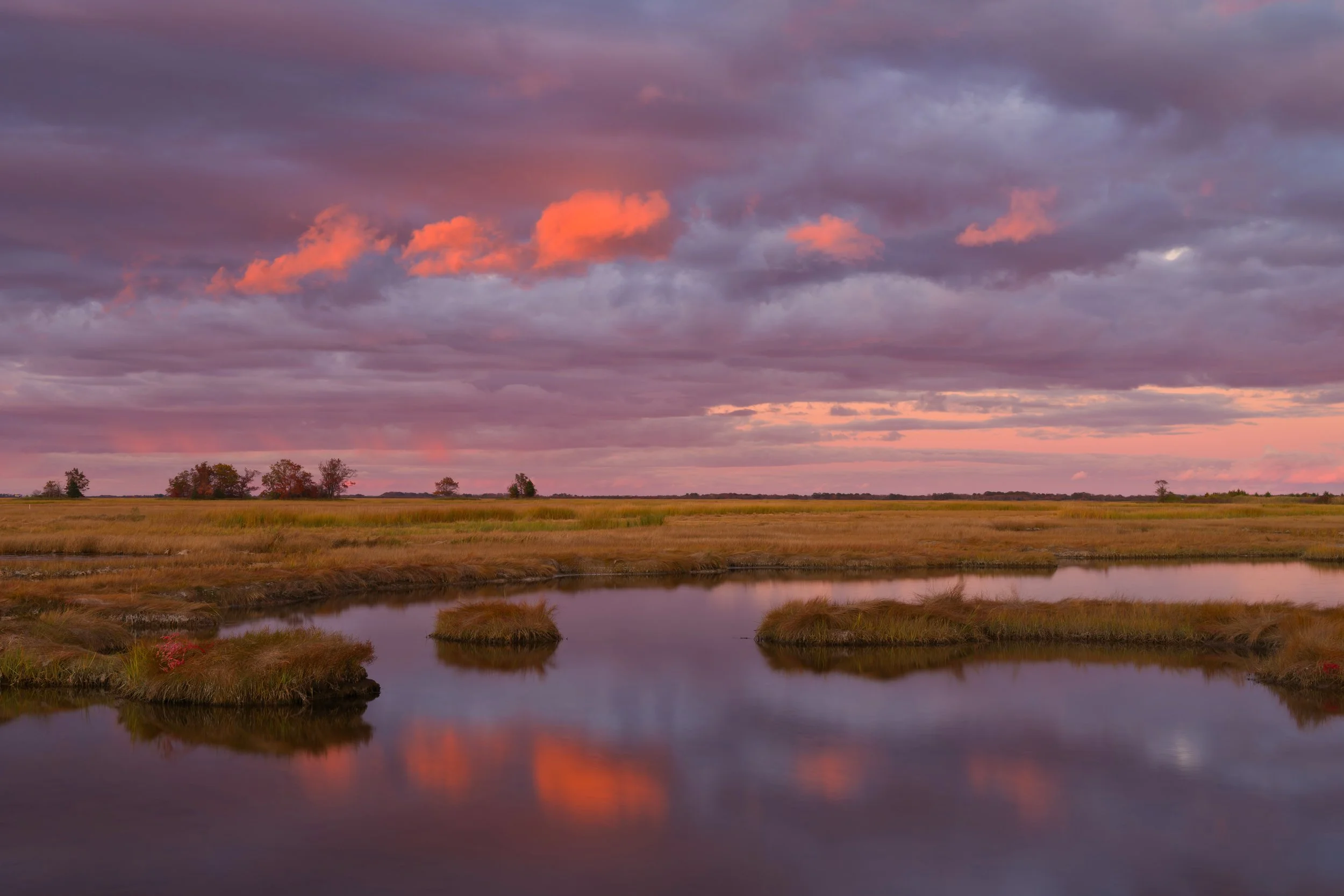AMM_1486-alvaromarquesphotography©).jpg