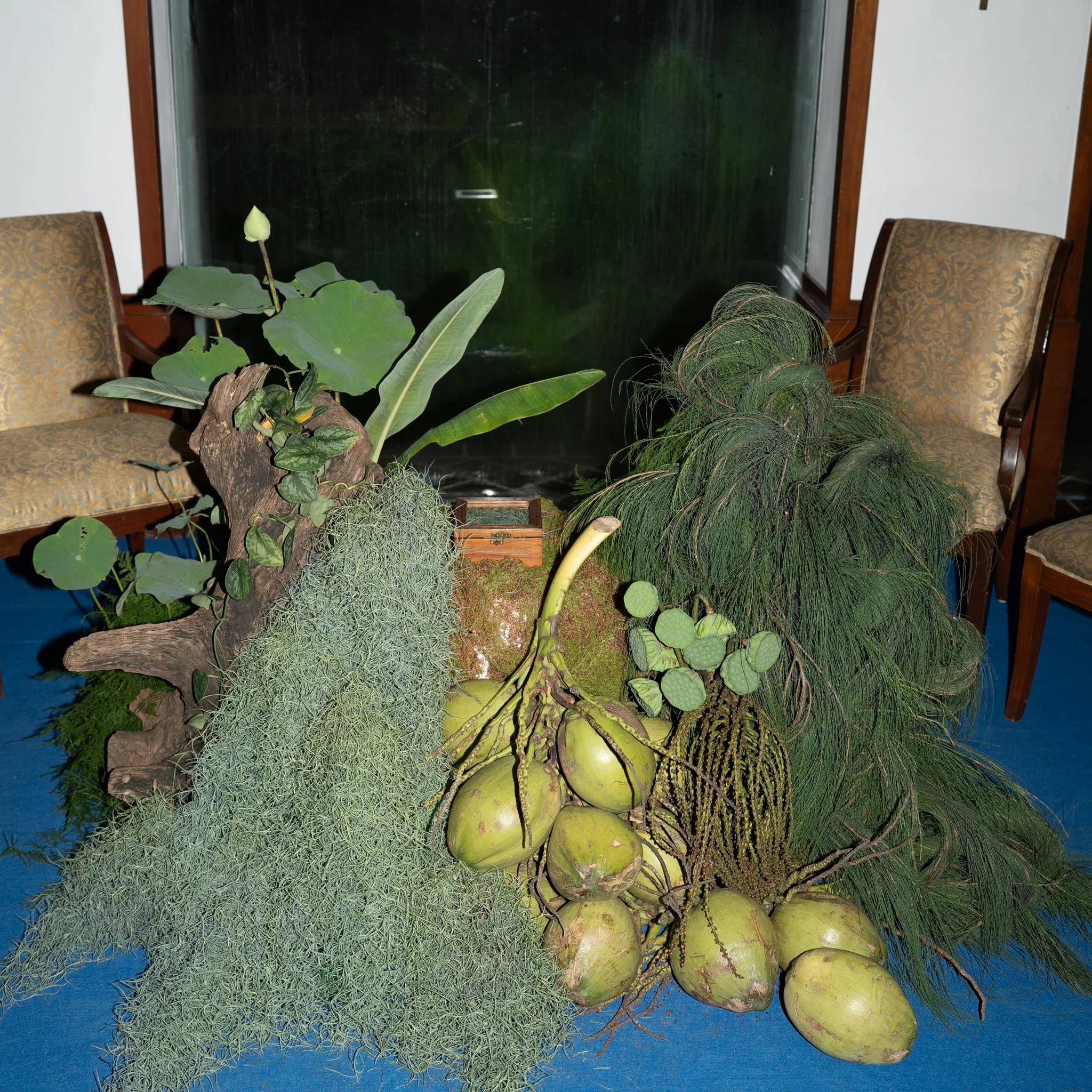 IMG_8165.JPG