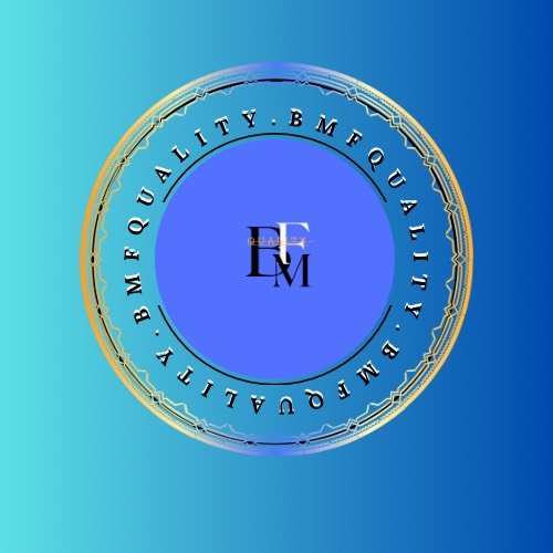 BMFQUALITY LLC LOGO.jpg