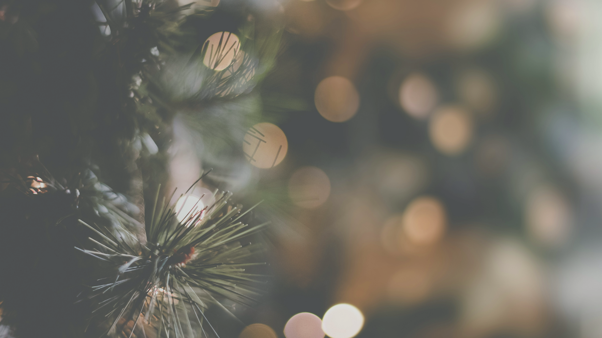 How Does a Young Family Make Advent Count (Guest Post by Audrey)