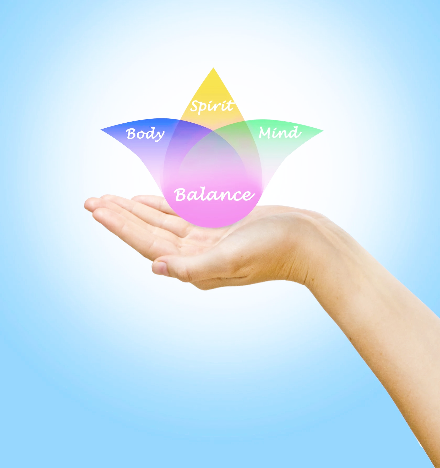 A hand holding a colorful diagram with the words Balance, Body, Spirit, and Mind, representing holistic counselling.