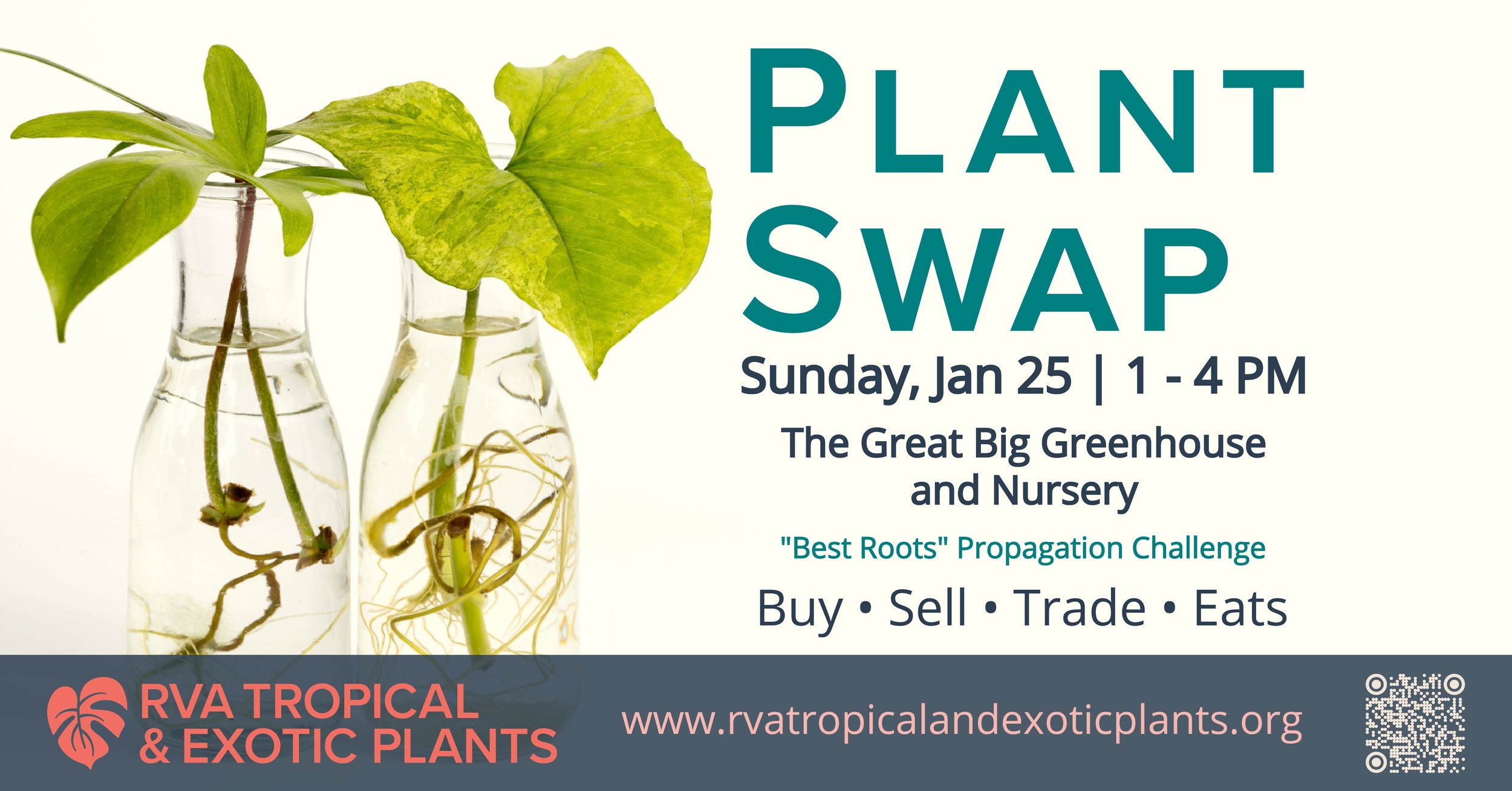 January Plant Swap & Market at The Great Big Greenhouse