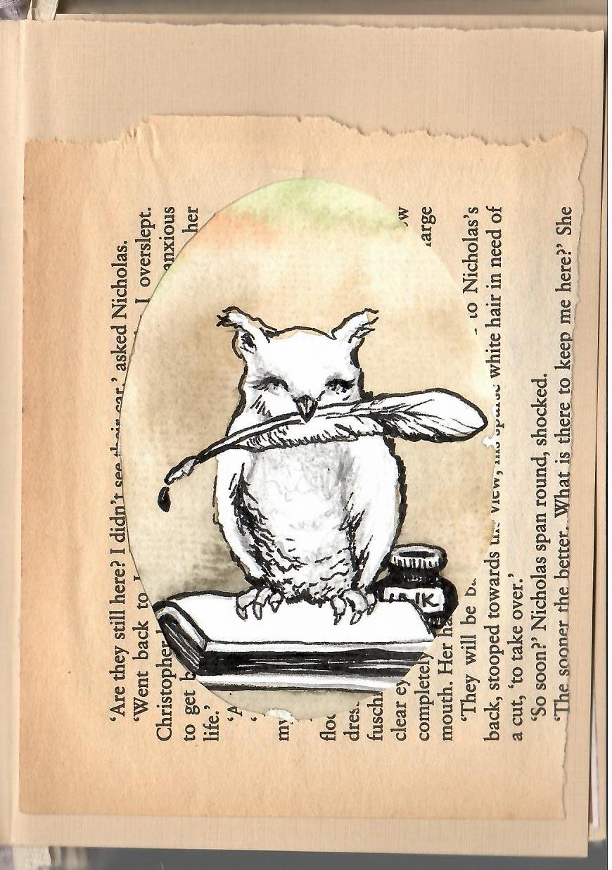 Owl.jpeg