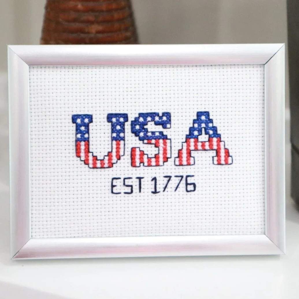 USA+Mini+%282%29.png