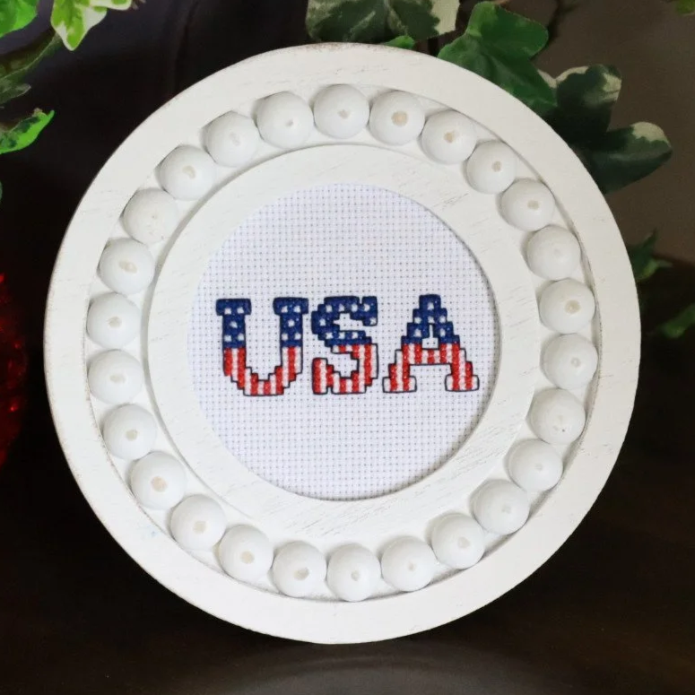 USA+Mini+%281%29.png