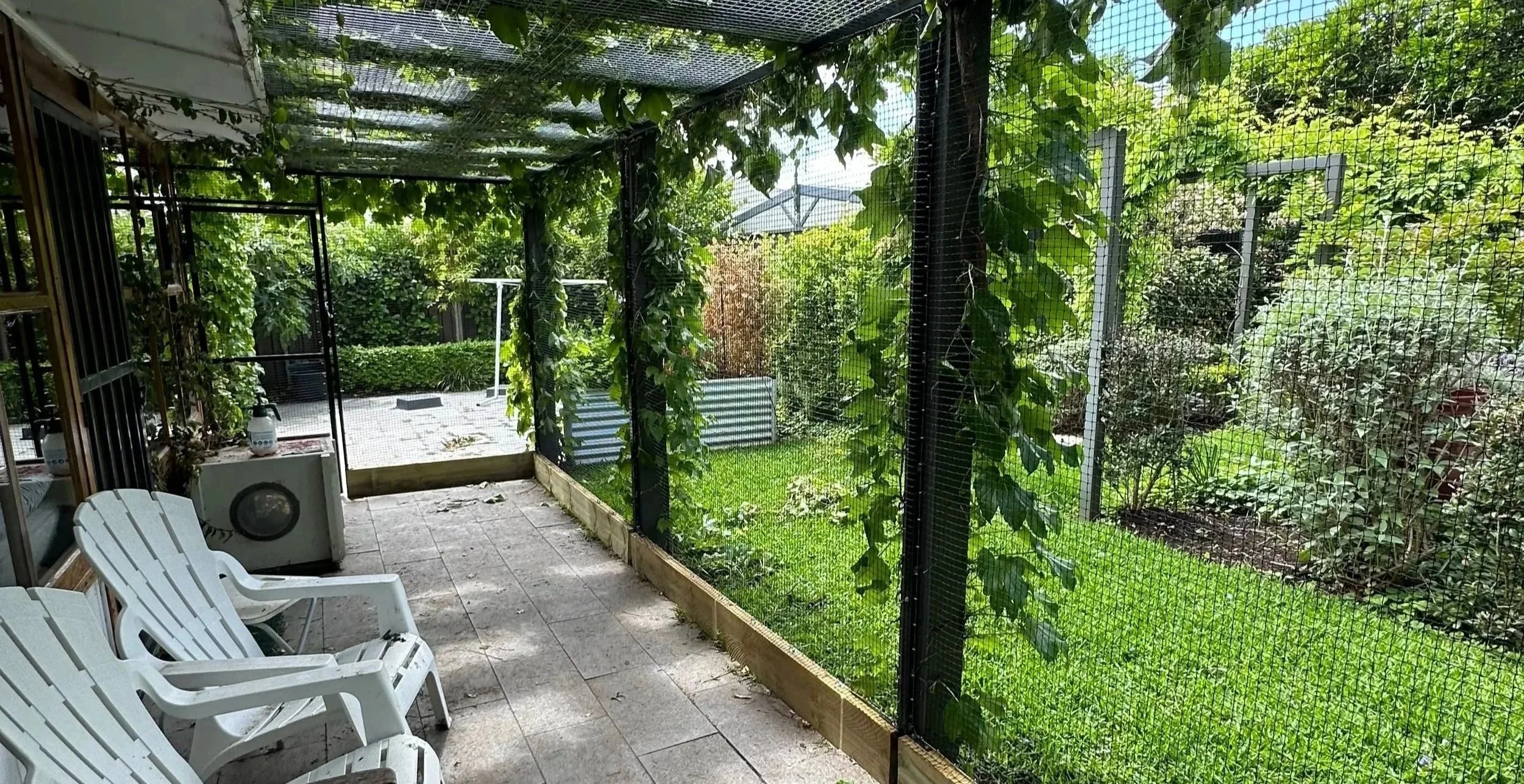 Cat Netting Enclosure