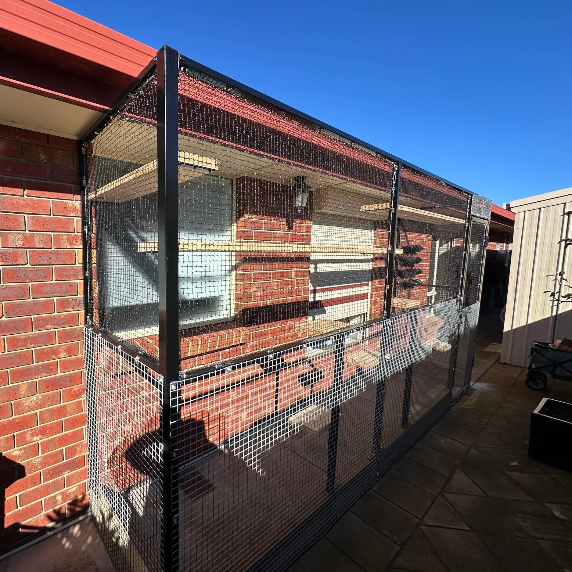 Box Cat Enclosure Adelaide