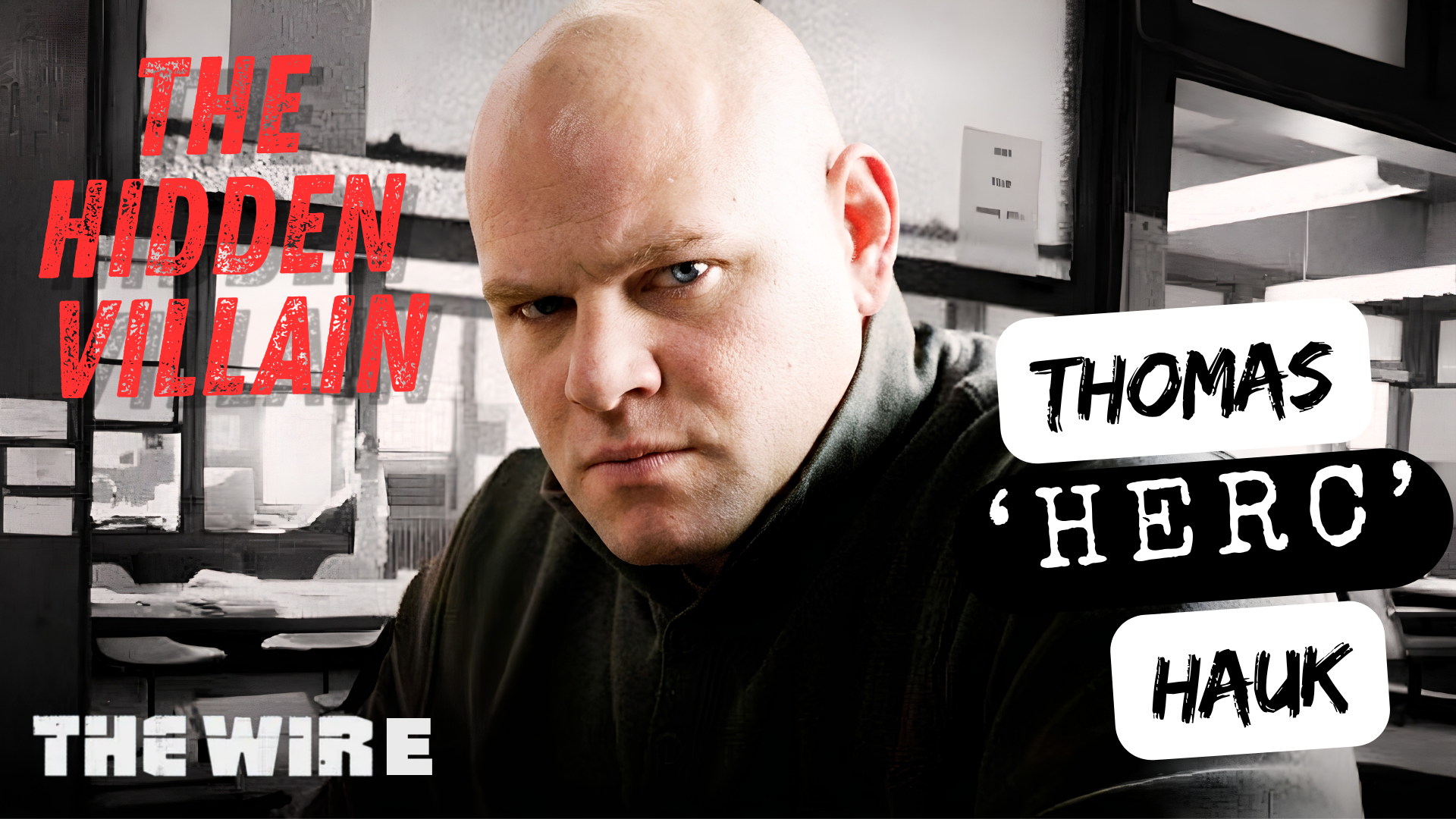 Character Study: Thomas 'Herc' Hauk - The Wire