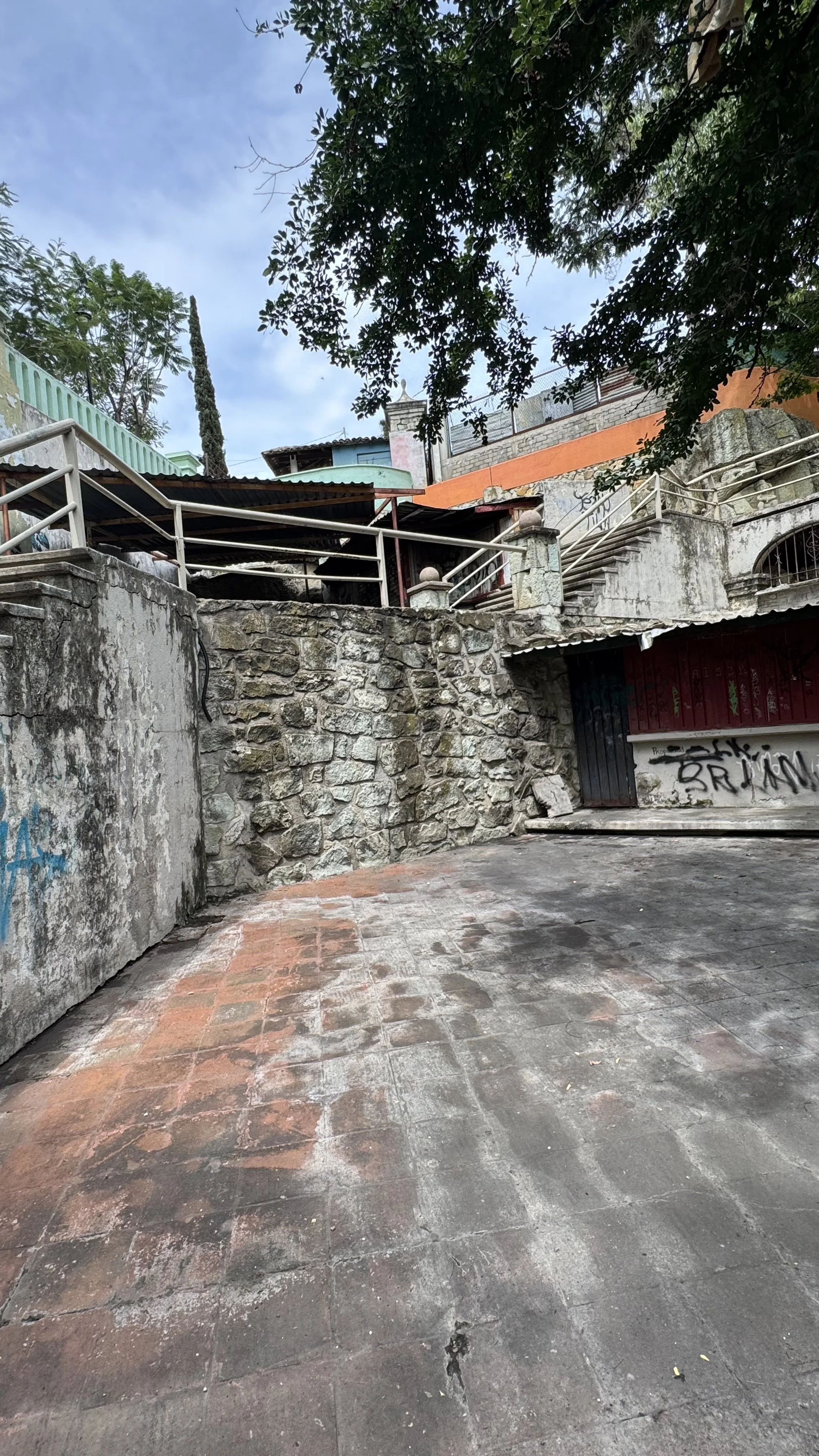 IMG_3952.jpeg