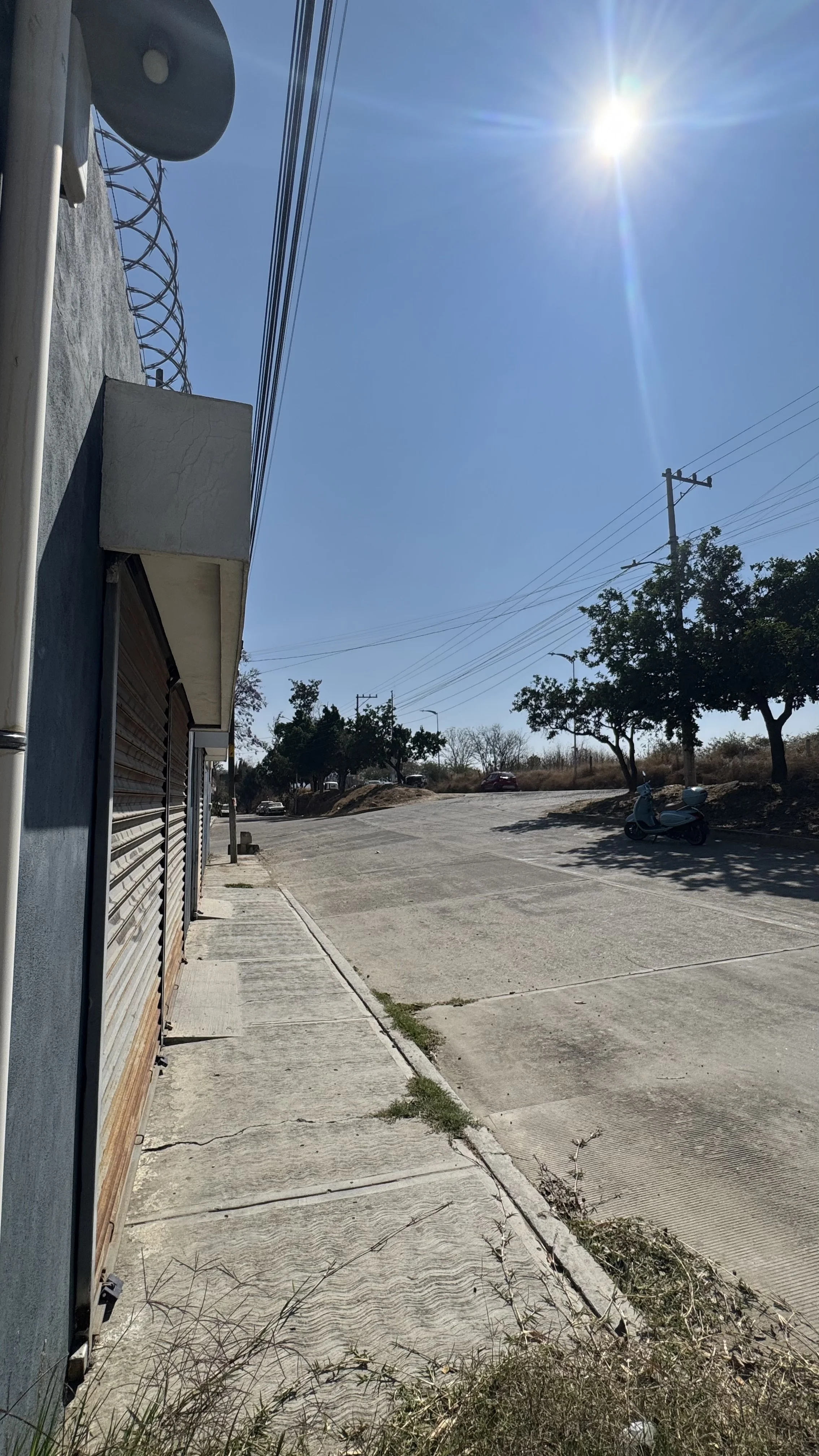 IMG_0779.jpeg