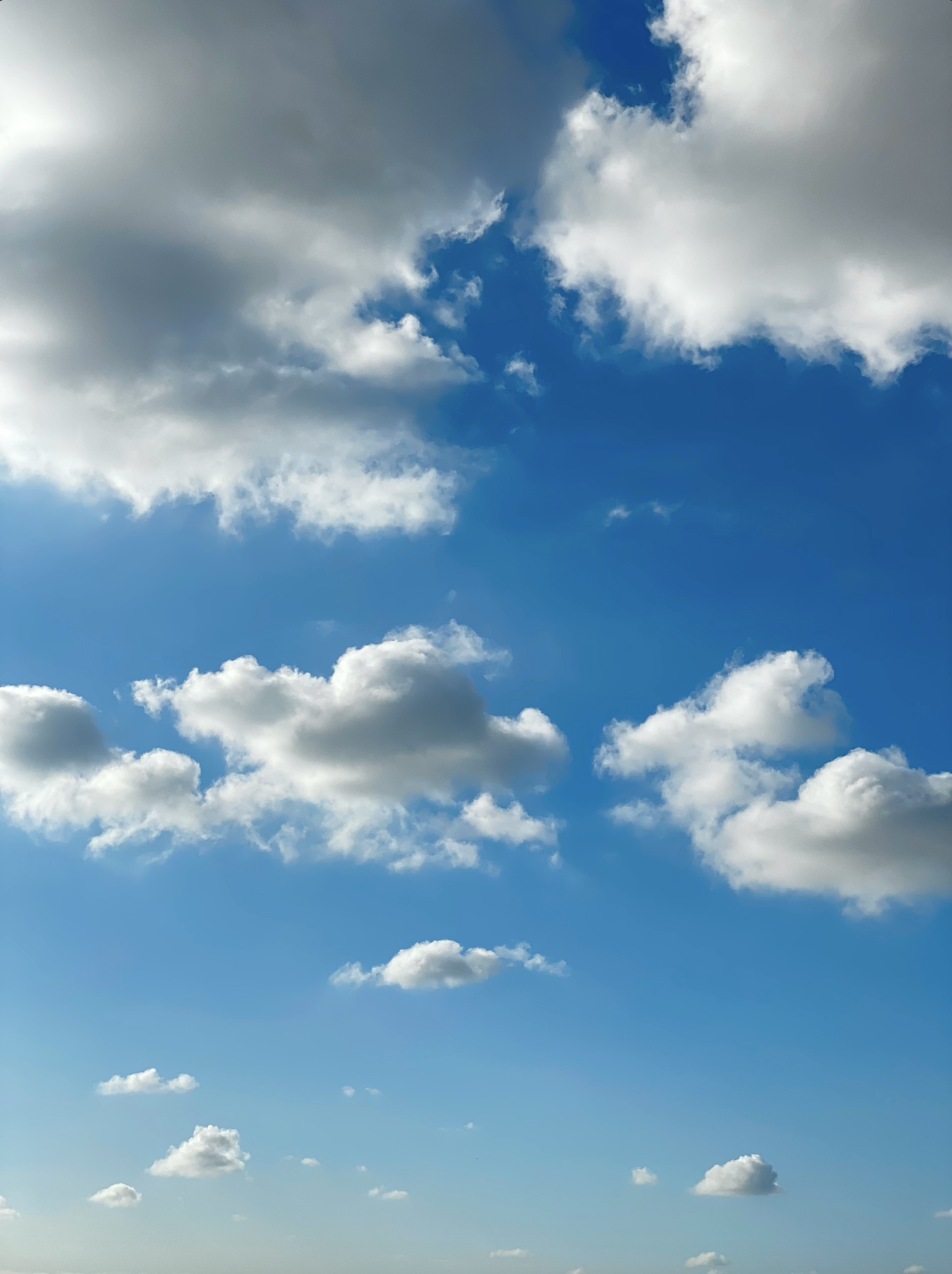 dtlascloud2021_2.png
