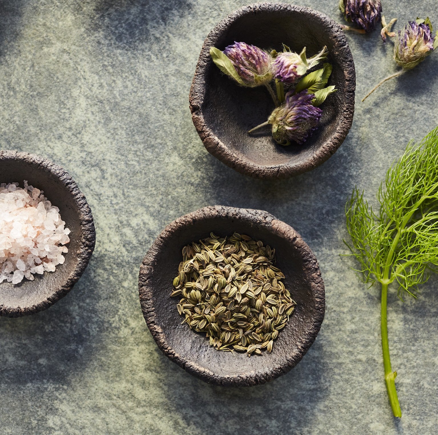 Ingredients-Lymph-Compound.jpg