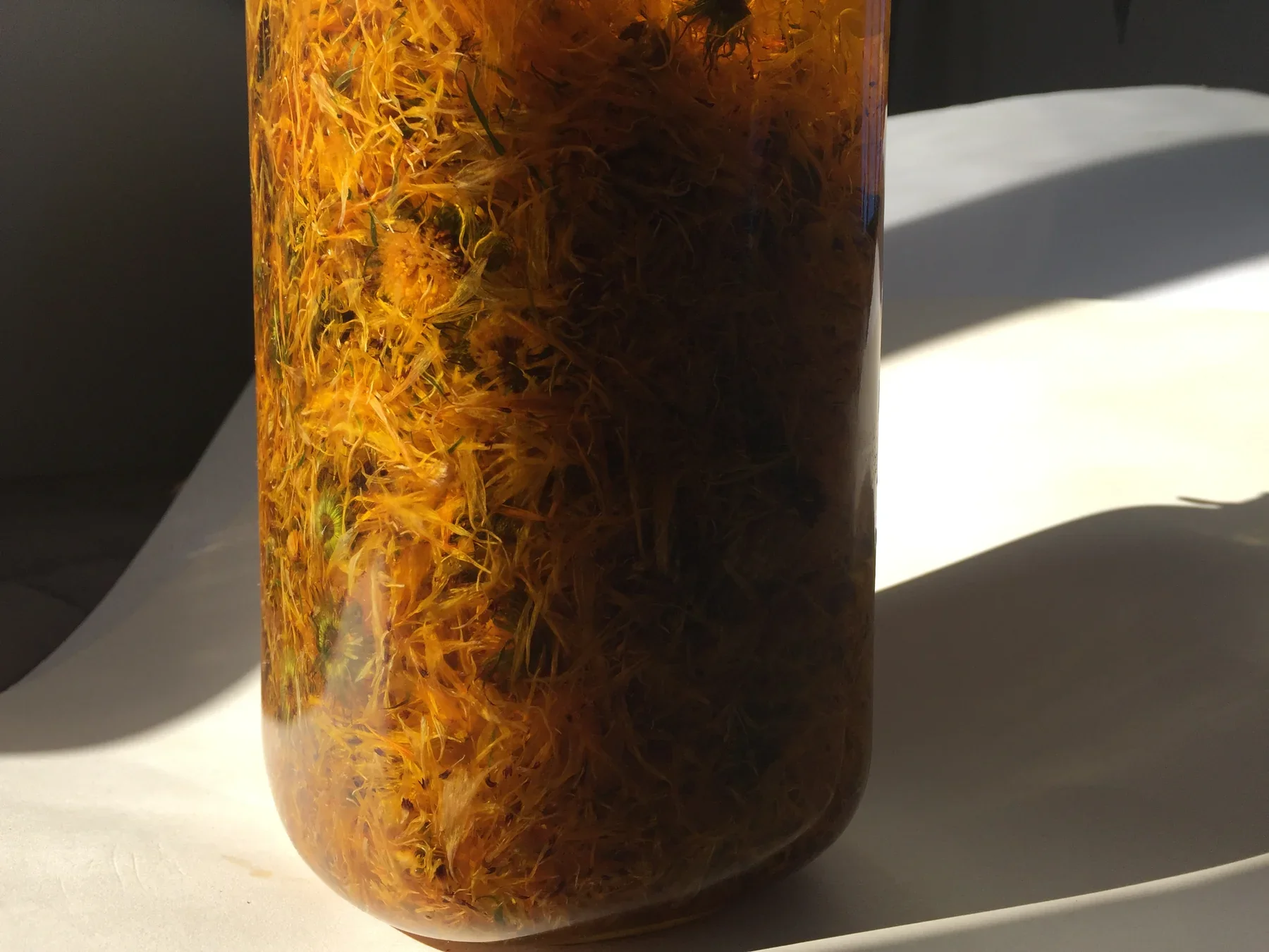 ENERGISINGFOUNDATION_CALENDULA_VANILLASUN-INFUSION_1IMG_6099.jpg.webp
