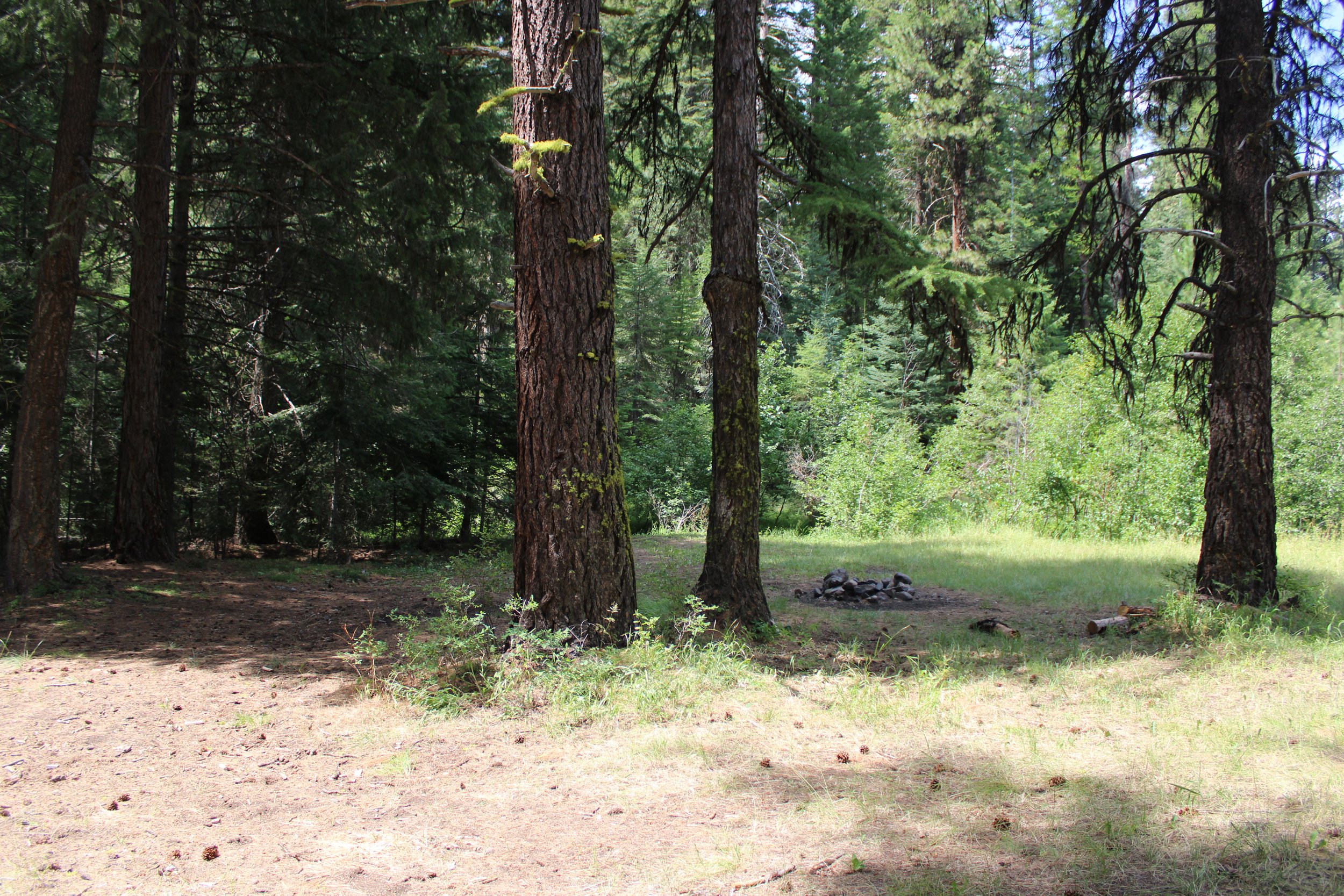 IMG_7033.JPG