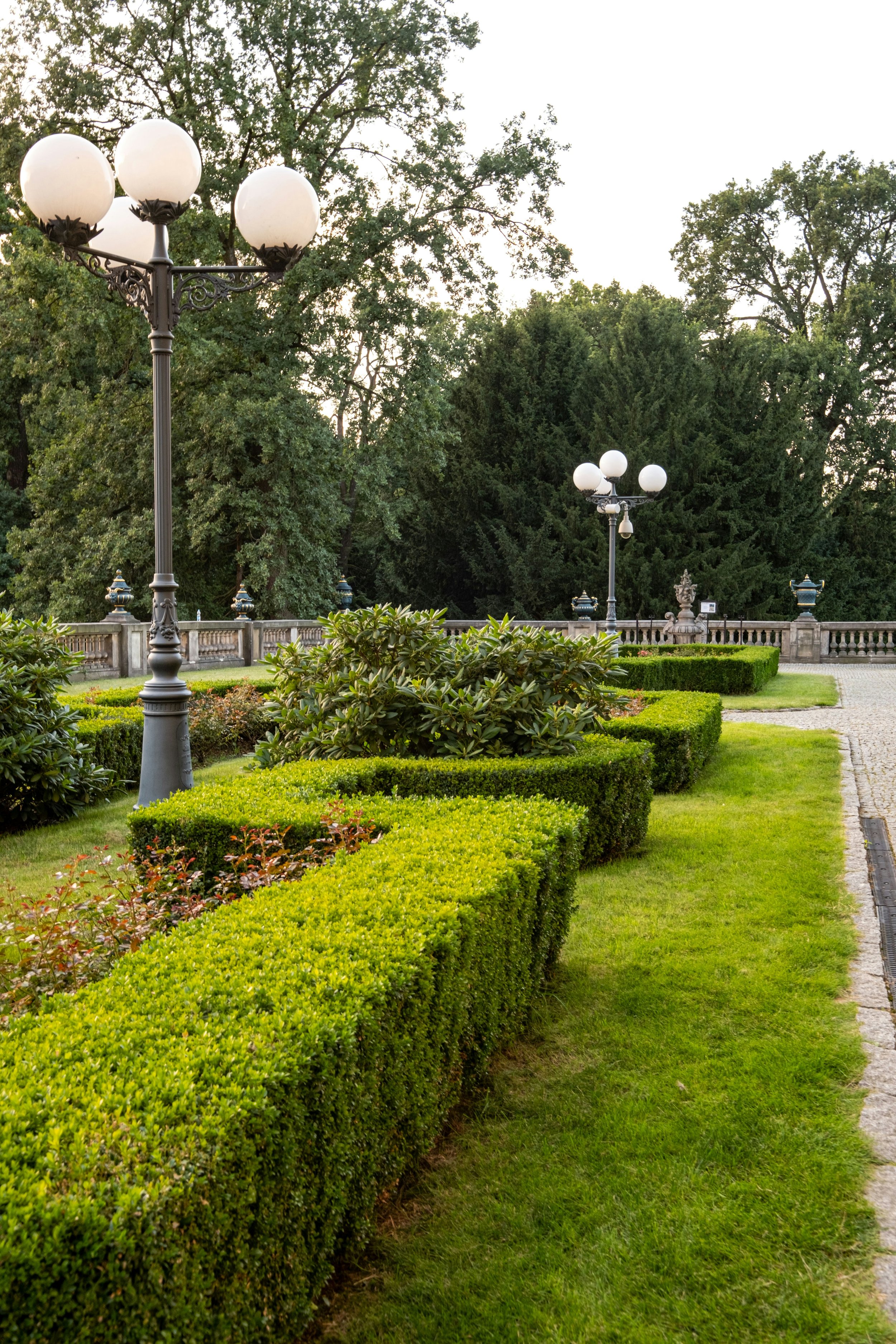 How to Plant and Care for a Boxwood Hedge