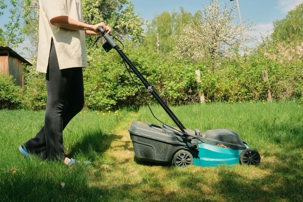 Modern Ways to Maintain a Healthy, Low-Maintenance Lawn