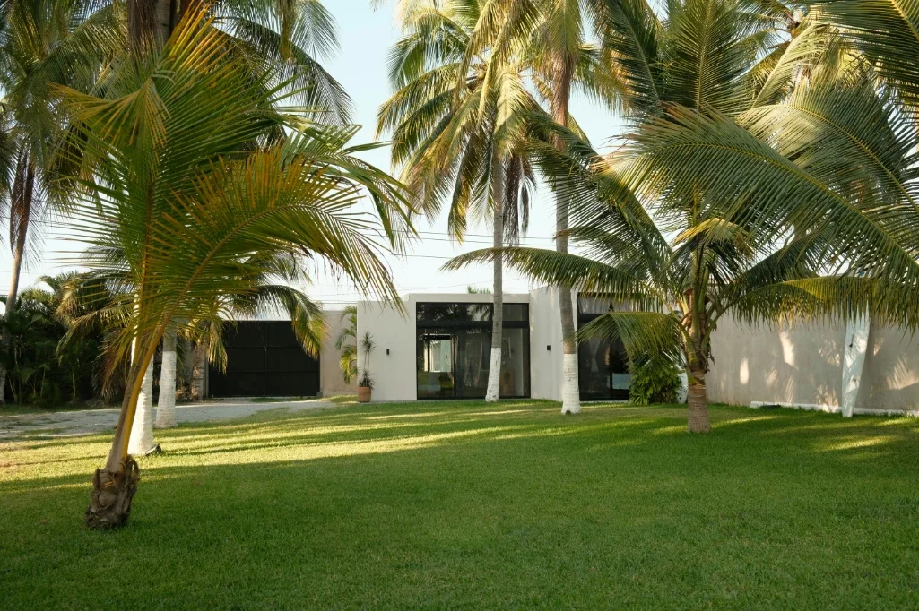 Professional Lawn and Landscape Services for Healthier Outdoor Spaces