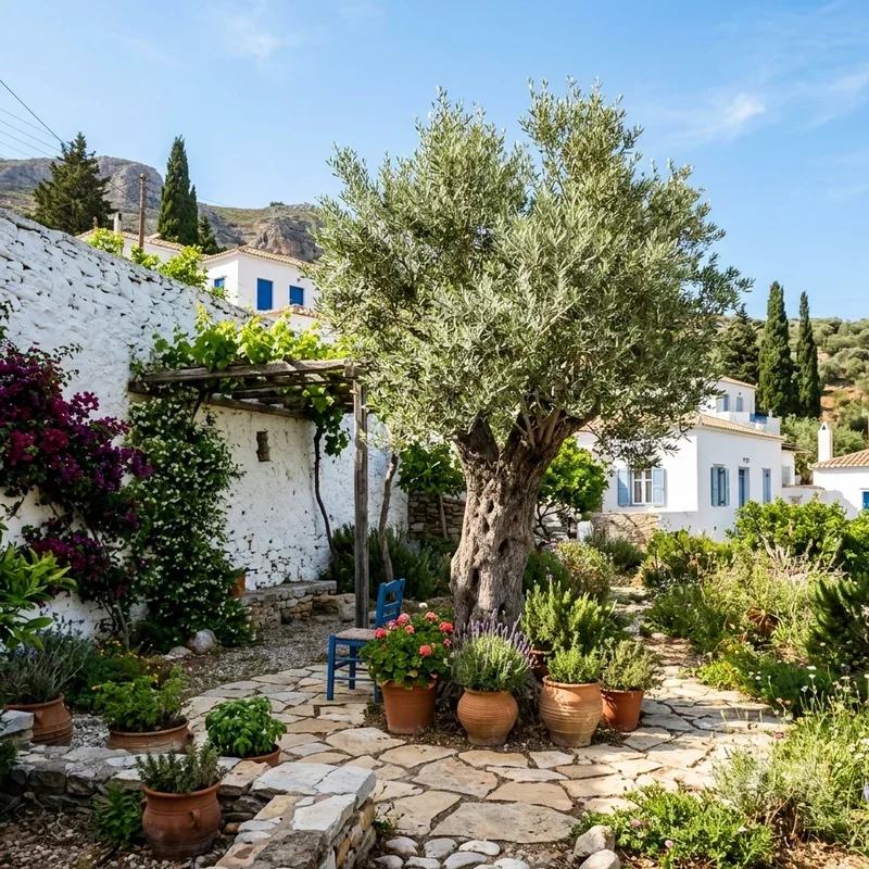 Greek Garden Ideas