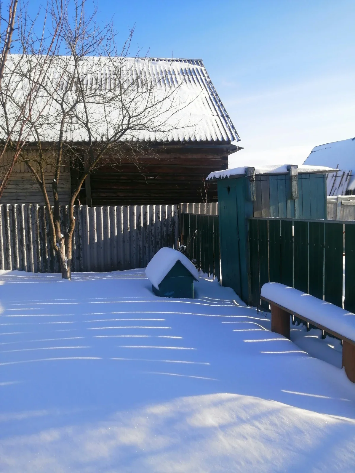 How Local Climate Affects Winter Yard Care and What to Do About It