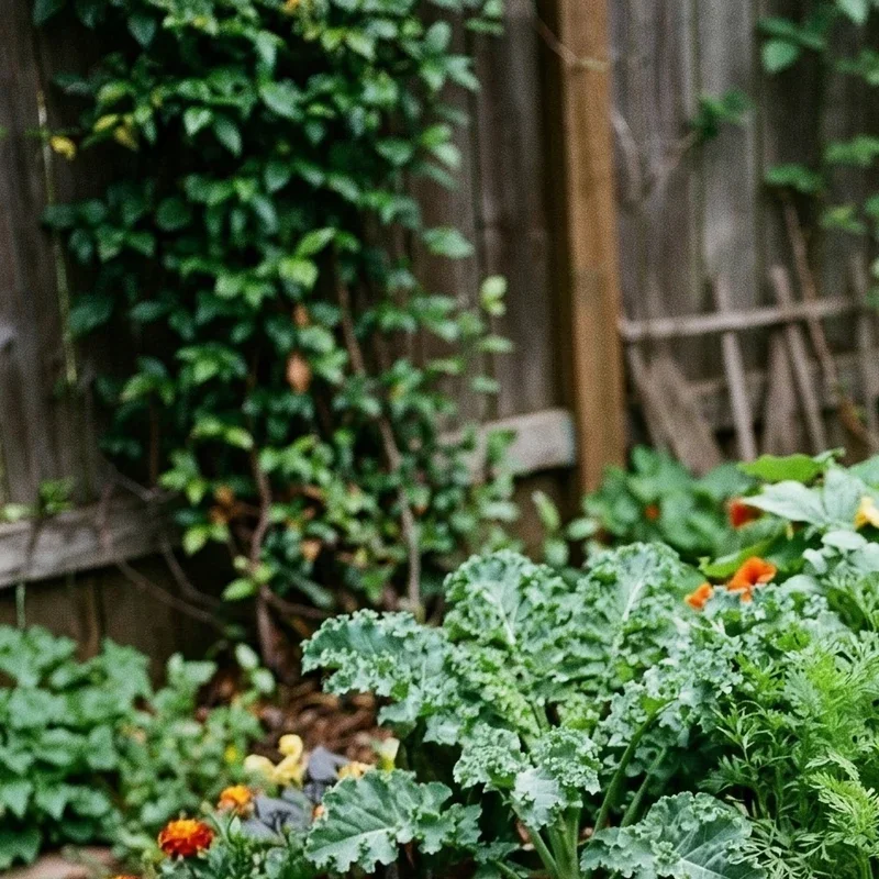 15 Garden Bed Filler Ideas for Healthier Plants