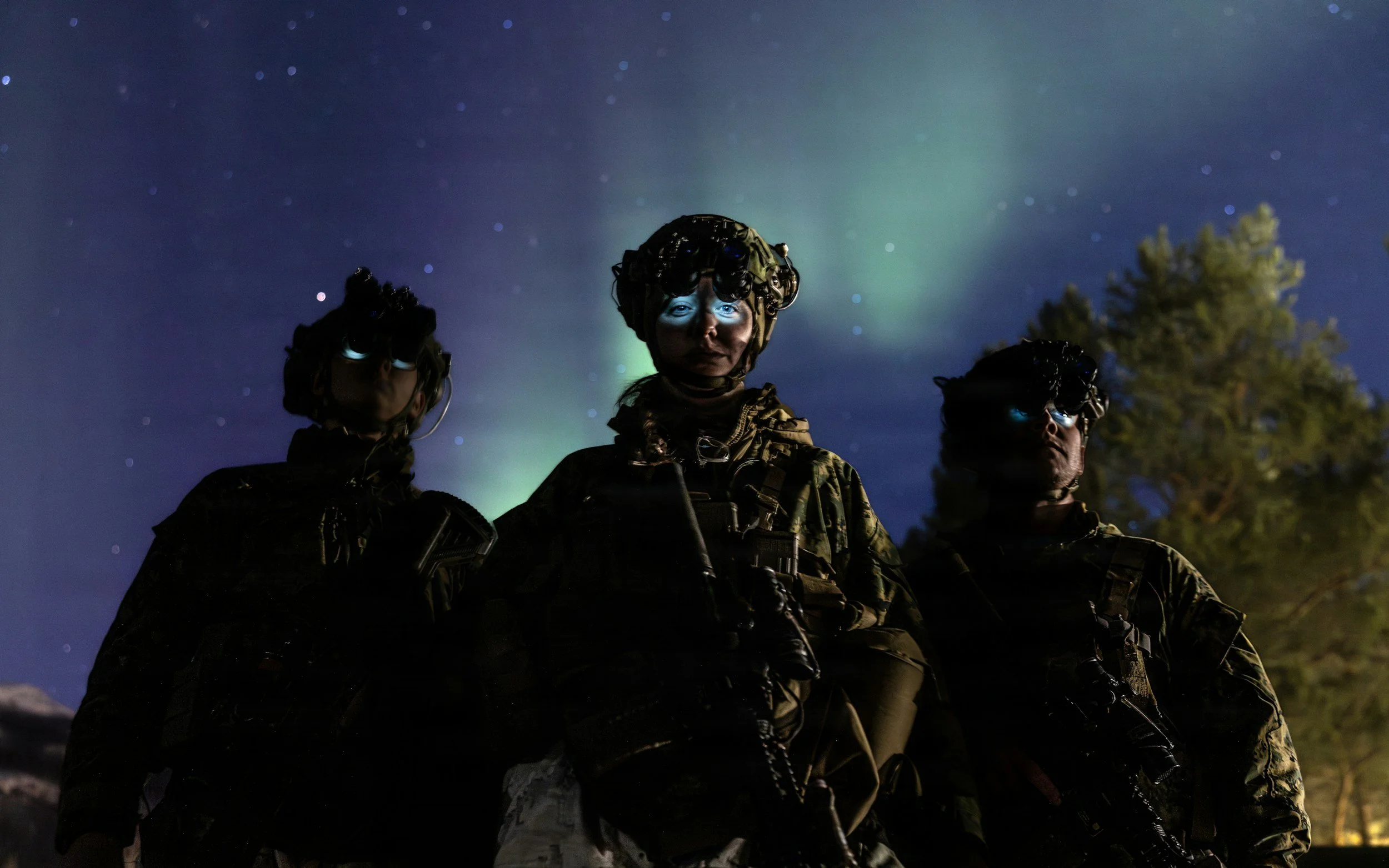 Defence in the High North (Parliamentary evidence)