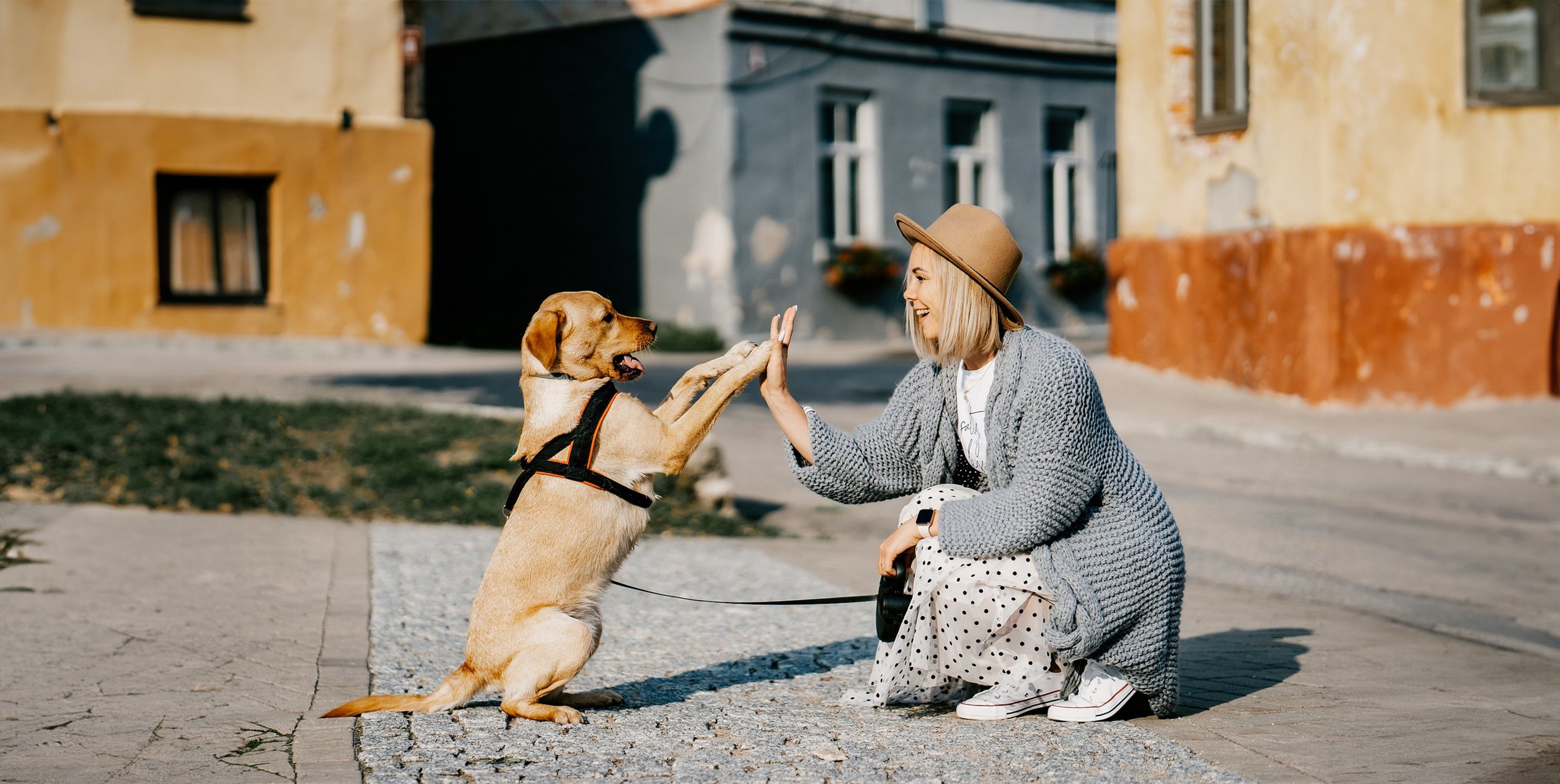 Oele_Testwoche_HappyDog.jpg