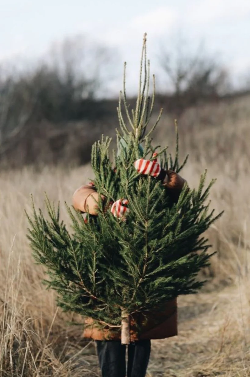 The Sports Therapist’s Guide to Surviving December: Stress, Fitness, and Self-Care