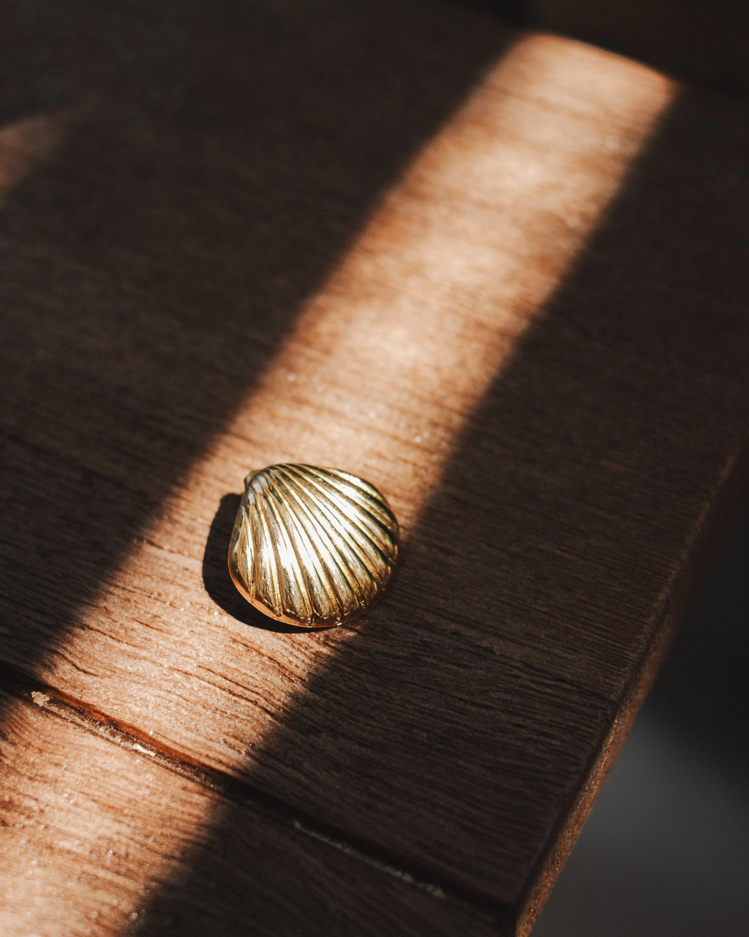 A gold shell-shaped ring resting on a wooden surface with a shadow and a streak of sunlight.