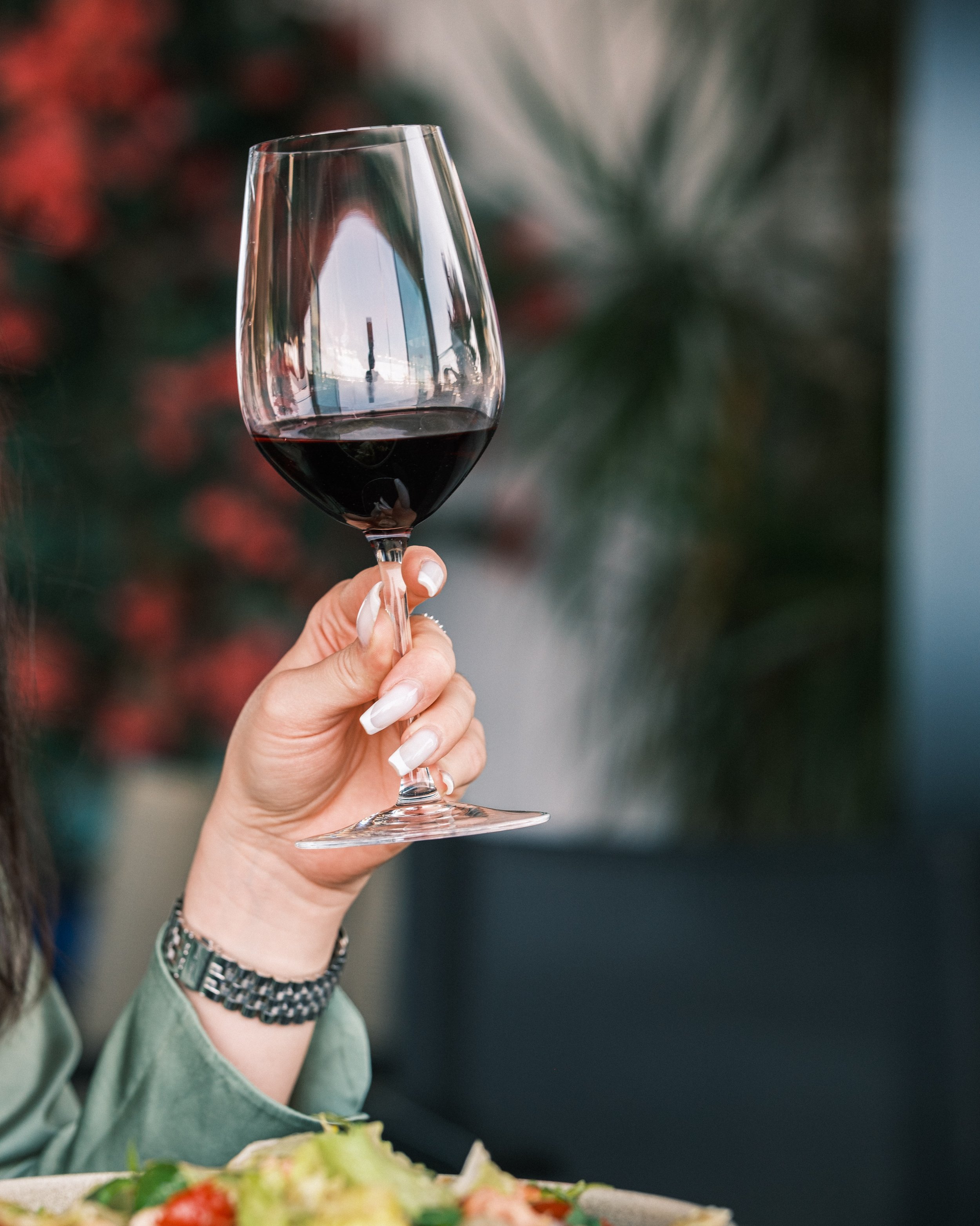 Hand holding a glass of red wine with a blurred background of plants and a plate of salad in the foreground.