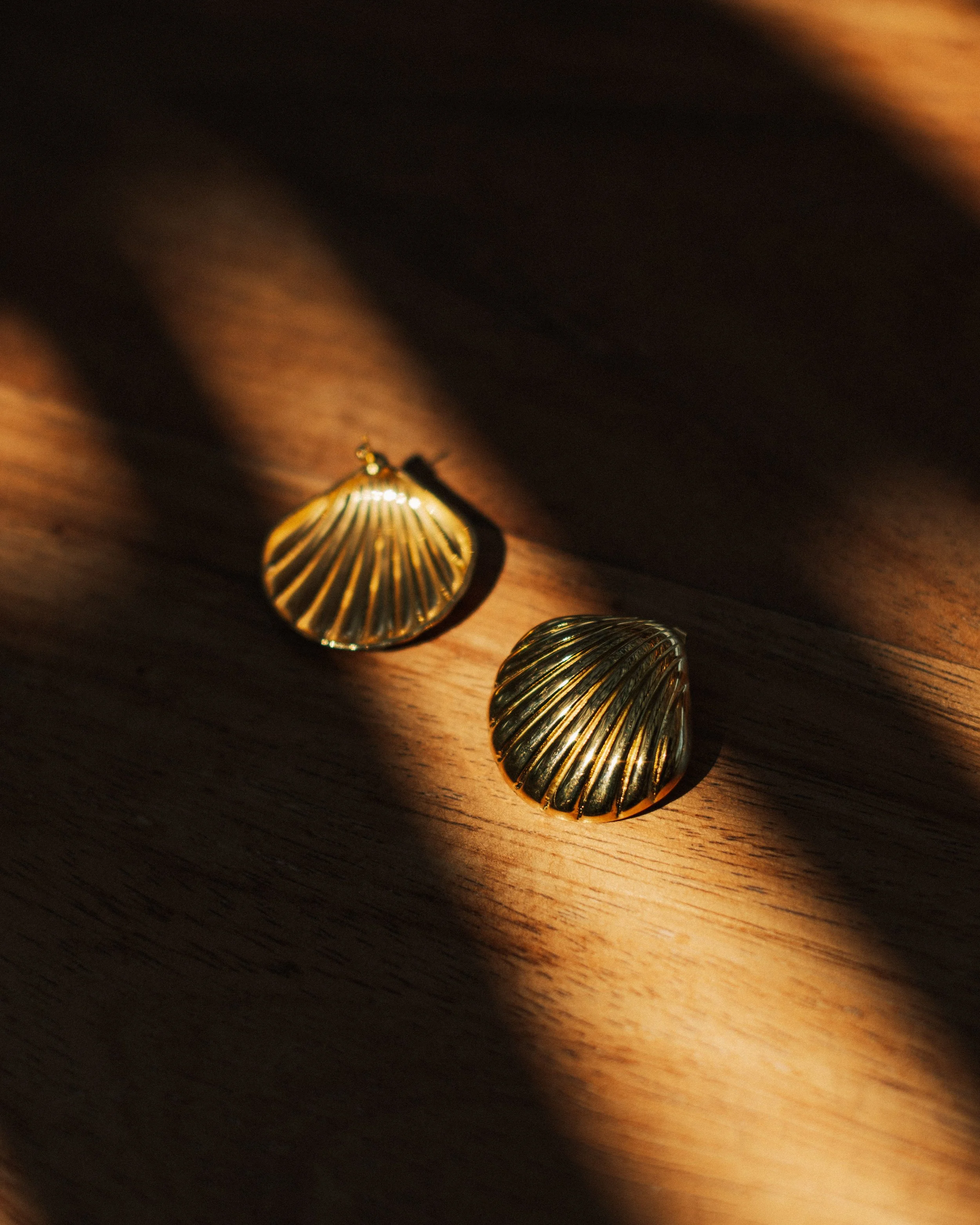 Two gold shell-shaped earrings on a wooden surface, with sunlight casting shadows and highlighting their ridged texture.