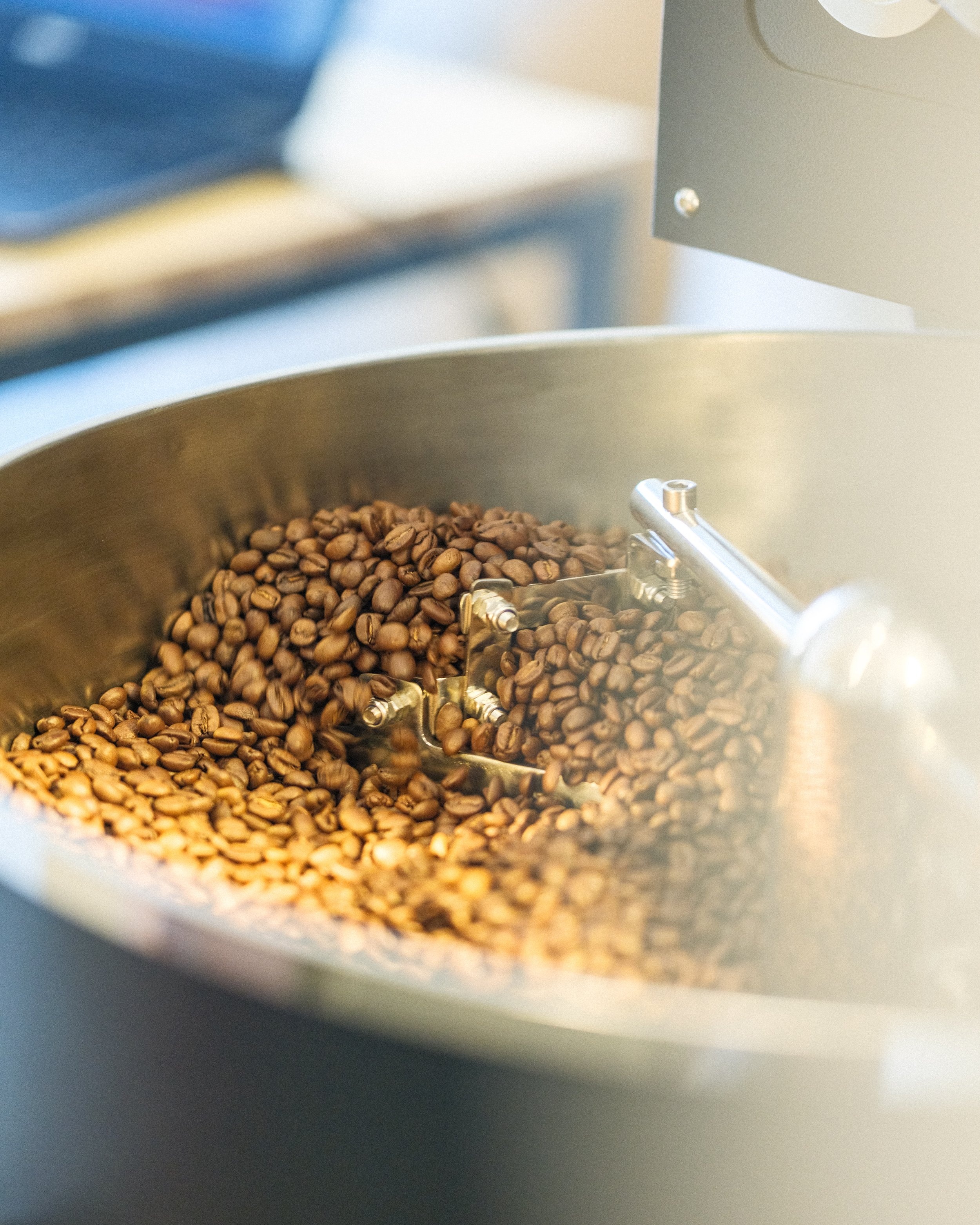Close-up of roasted coffee beans in a stainless steel coffee roaster machine.