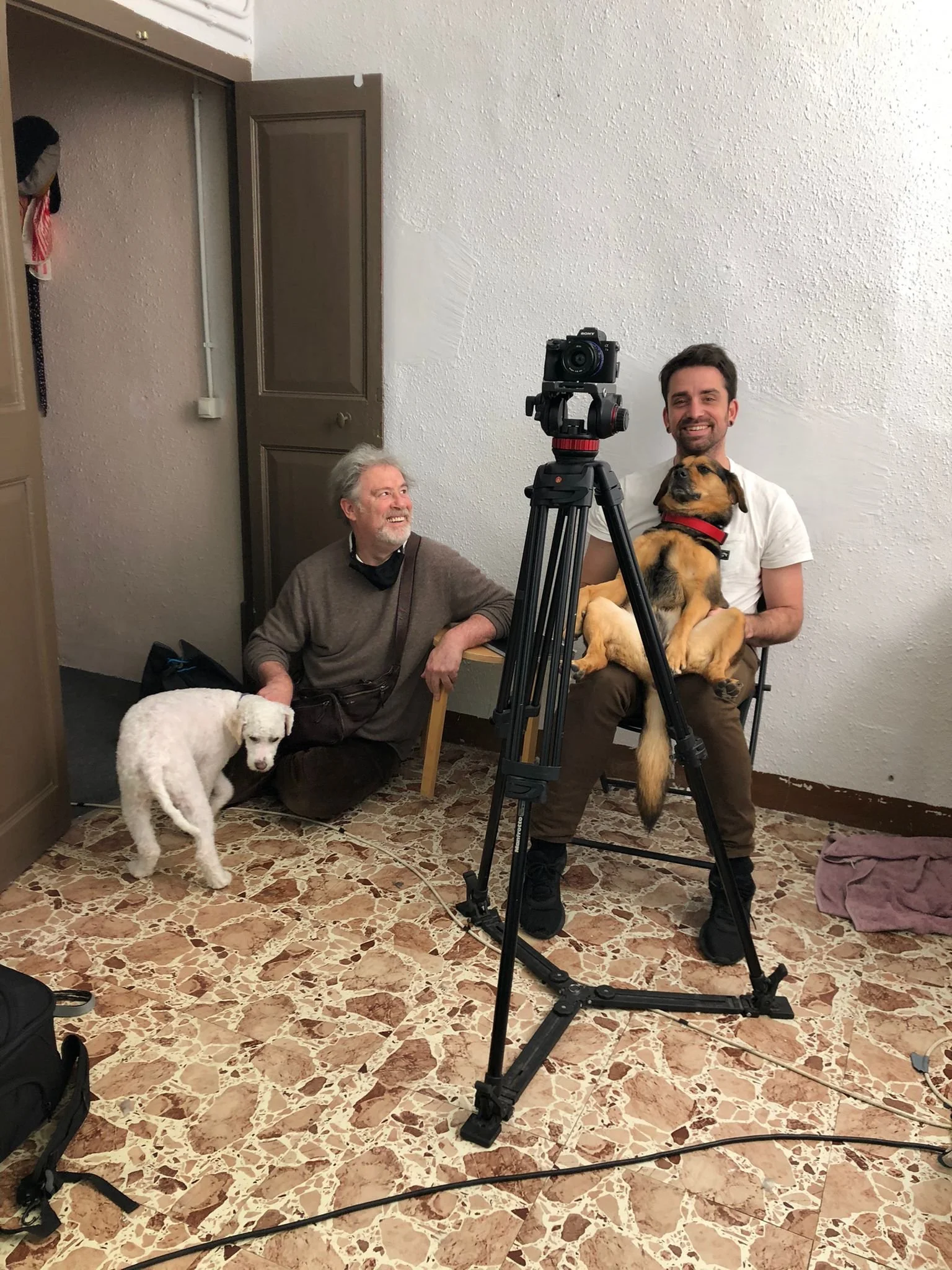 Filming set. Two men and two dogs