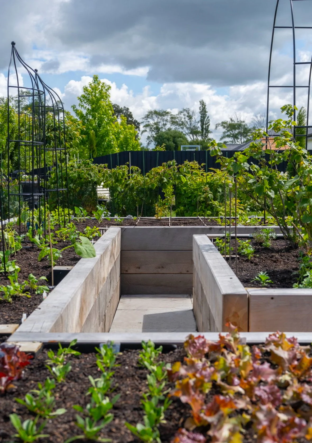 Planterboxes Christchurch 2