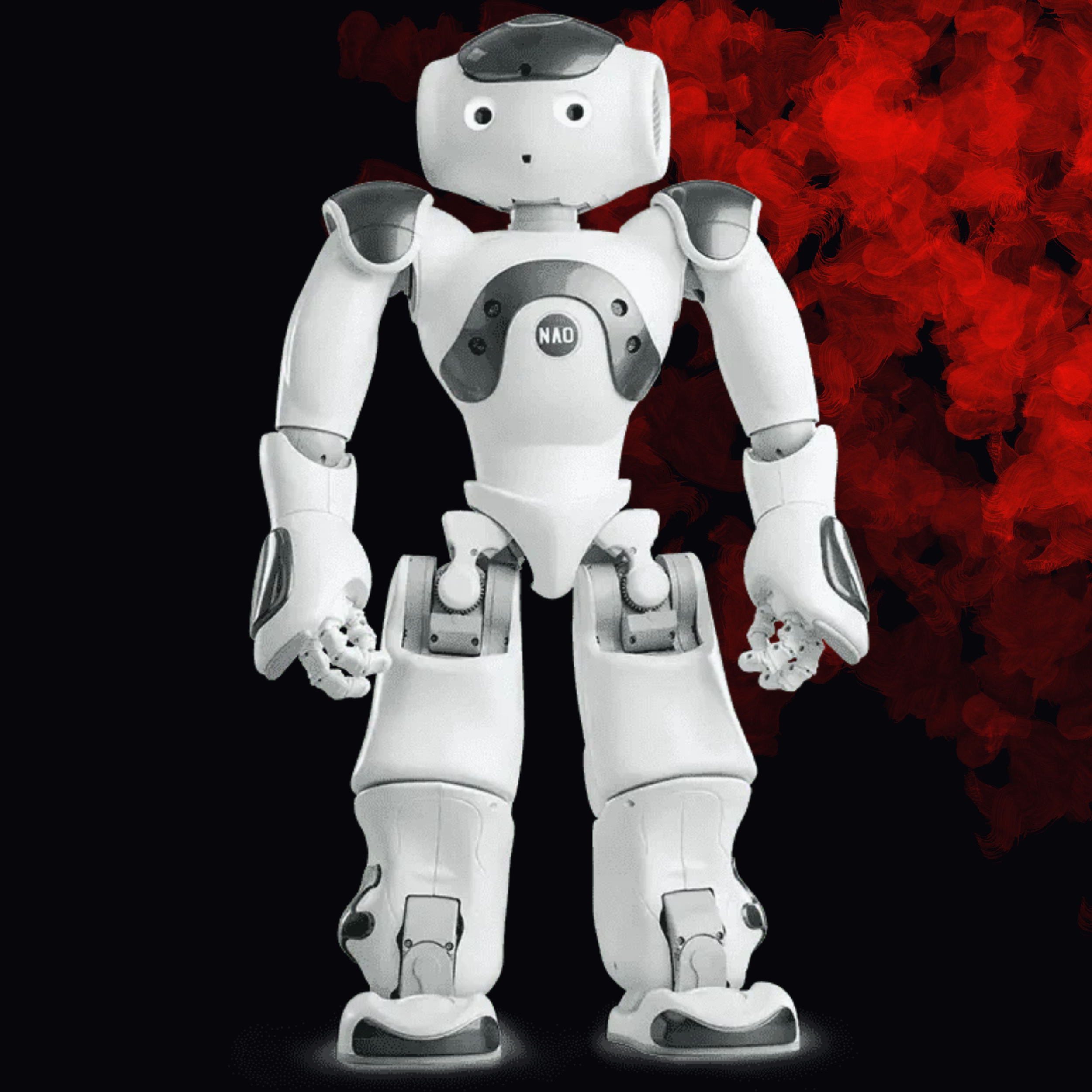 Nao