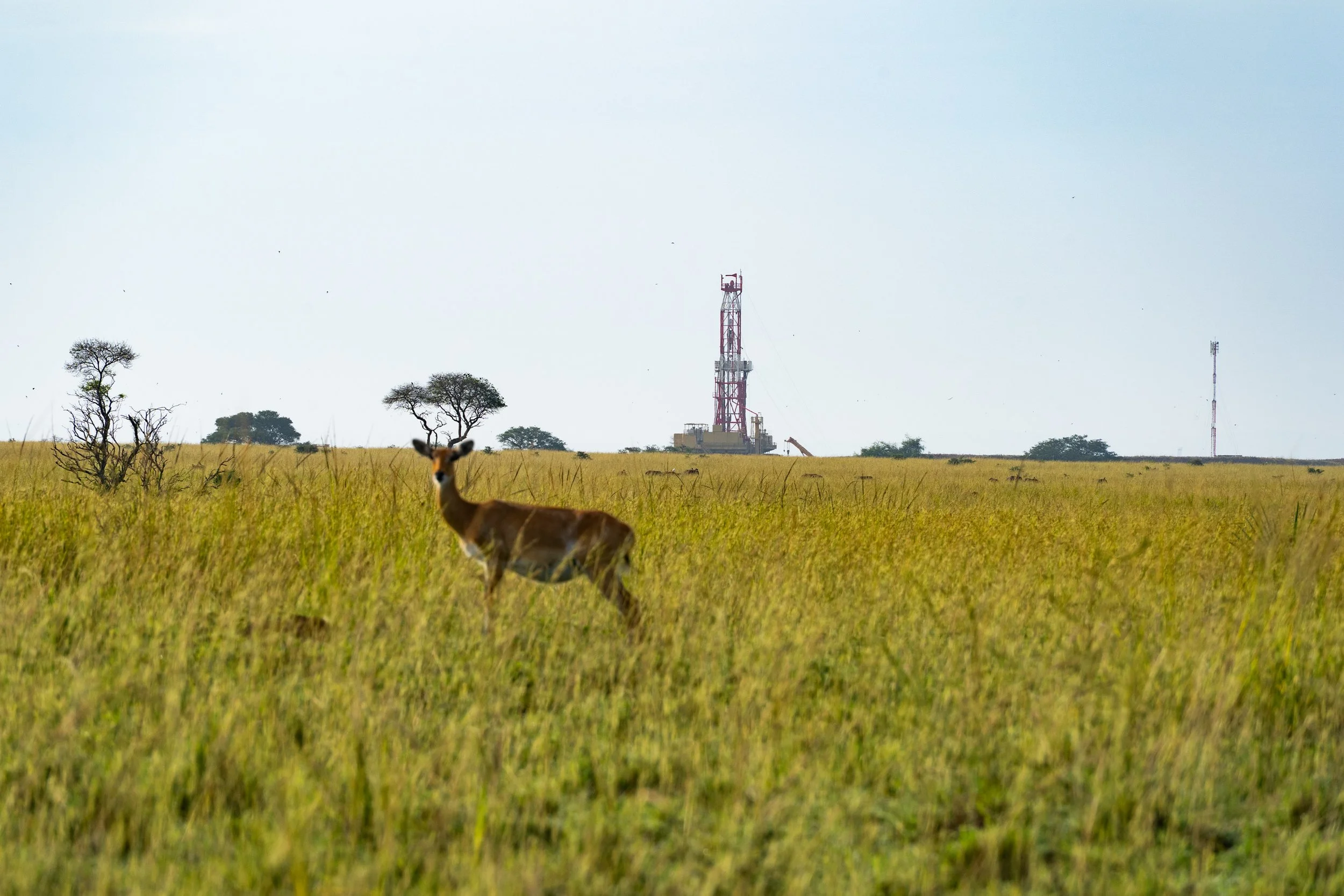 Oil giants in Uganda