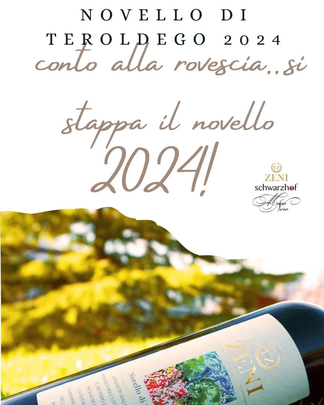 ...conto alla rovescia per l'apertura nazionale del Novello 2024! Cin Cin e buon Novello di Teroldego a tutti! 👉Seguici sul nuovo sito www.zenitrento.it