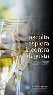 Ottima occasione in Villa Contarini a Piazzole sul Brenta per degustare i nostri vini in compagnia di tanti produttori selezionati da @lamiacantina.enoteca  in occasione di @invillaveritas! 13 e 14 ottobre 2024... vi aspettiamo! Qui il link per la pr